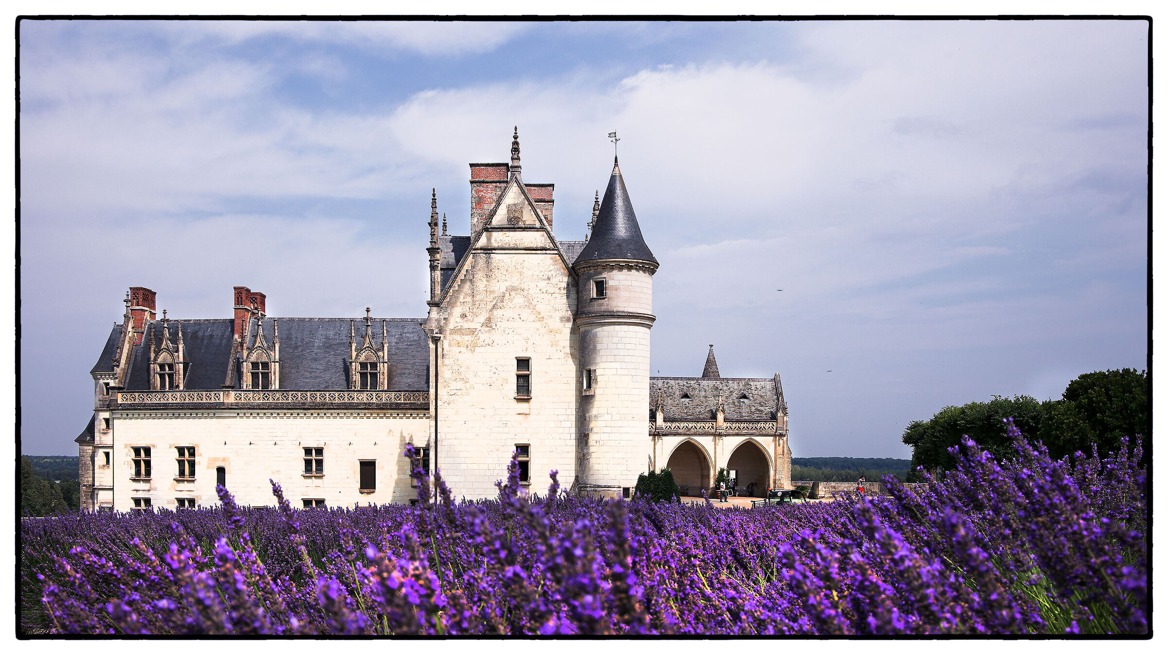 castle of amboise...