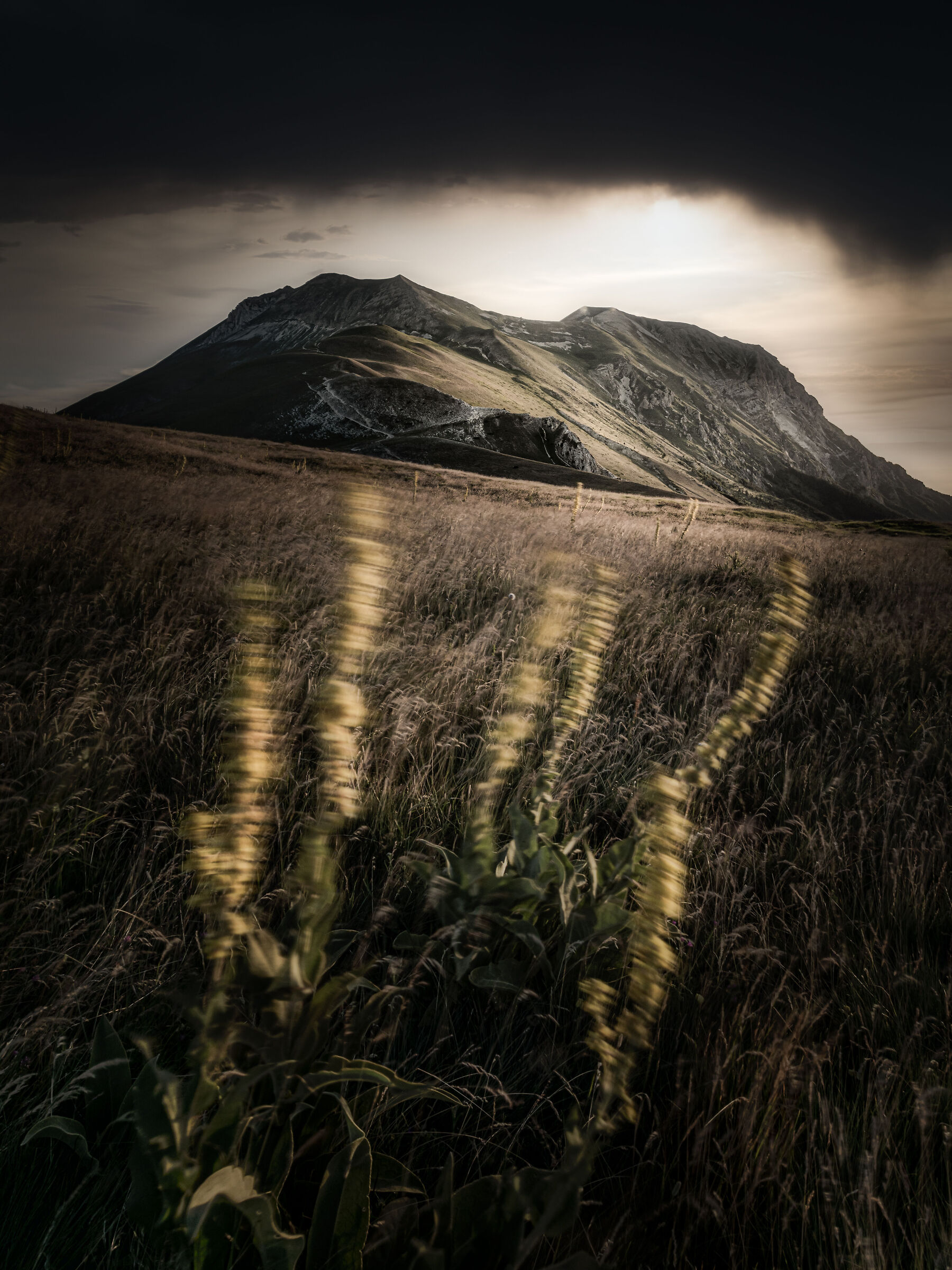 Monte Vettore...