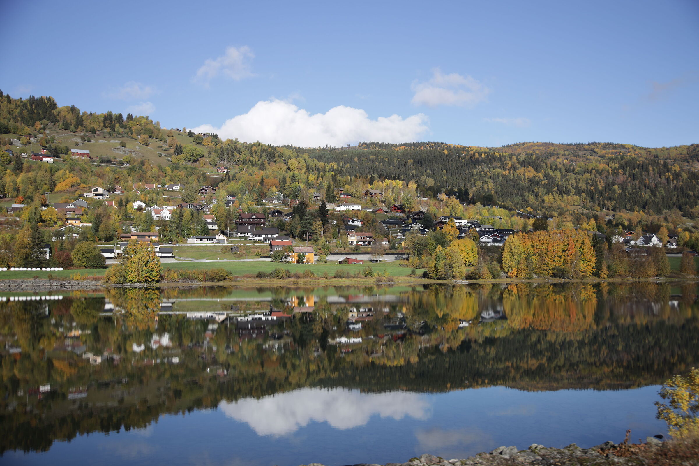 Bergensbanen - reflections...