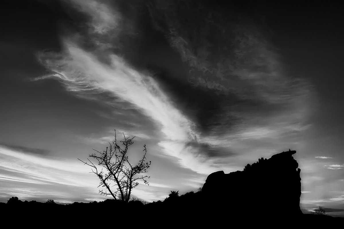 Untitled Photo...