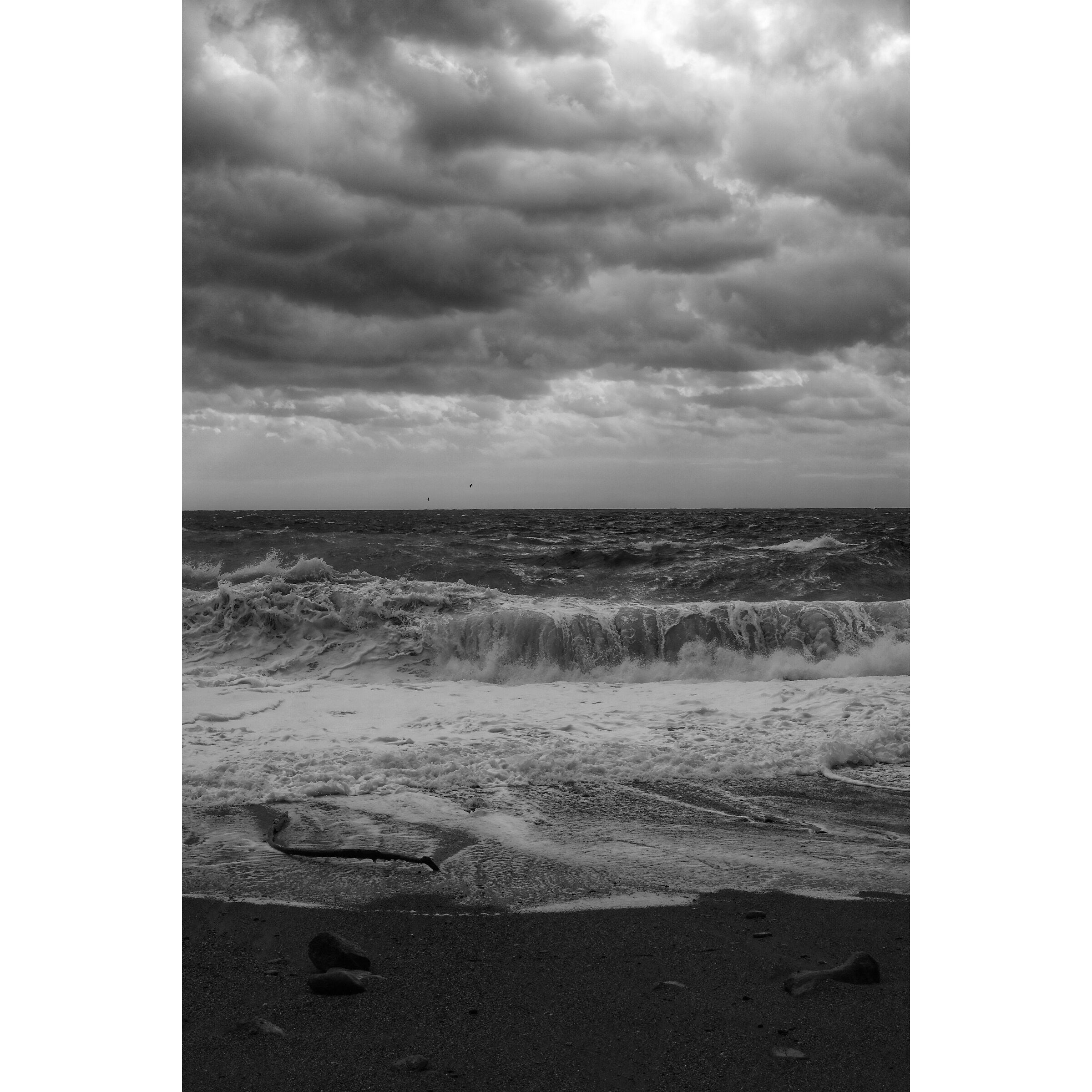 Untitled Photo...