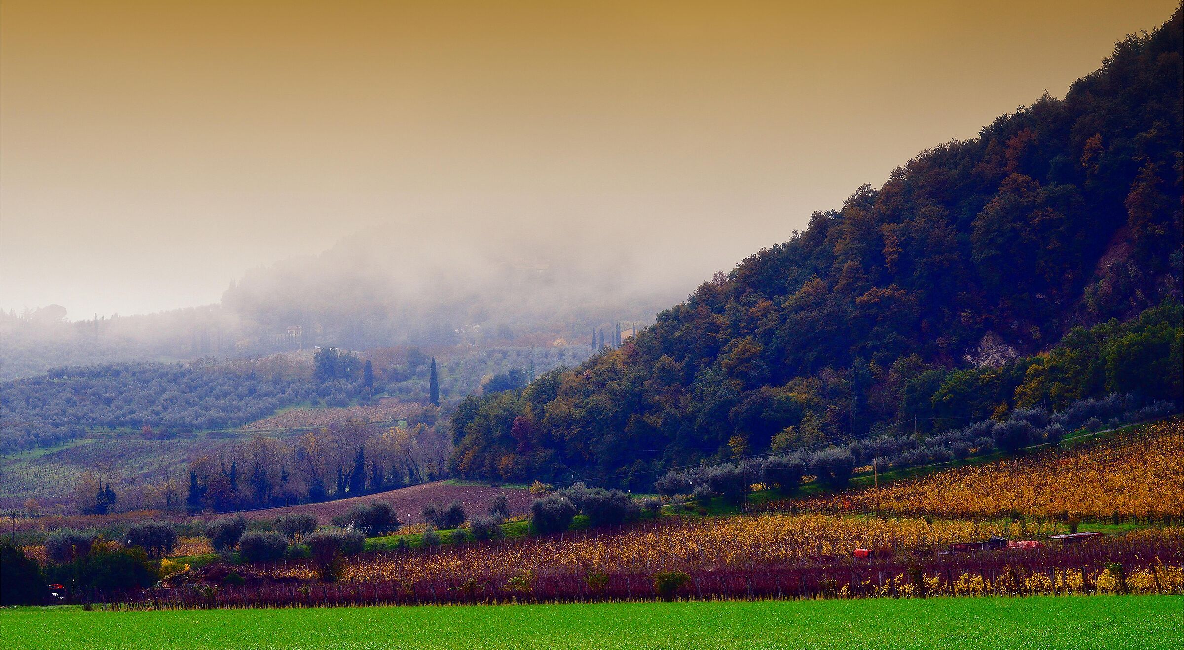 Autunno...