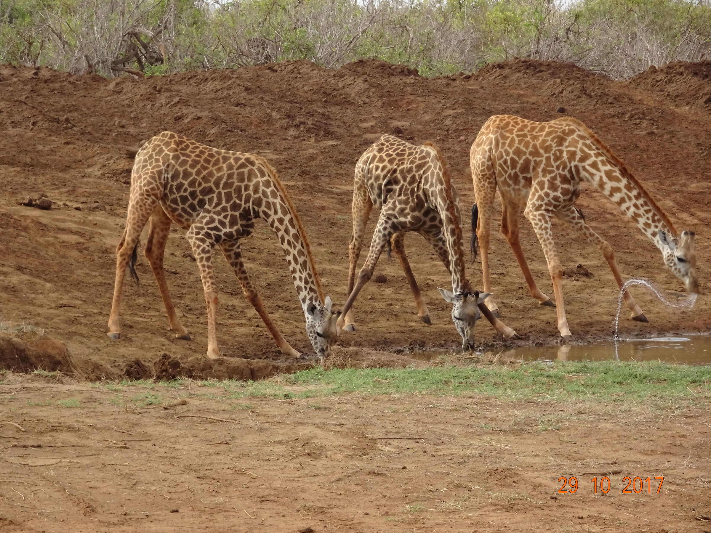 Thirst...