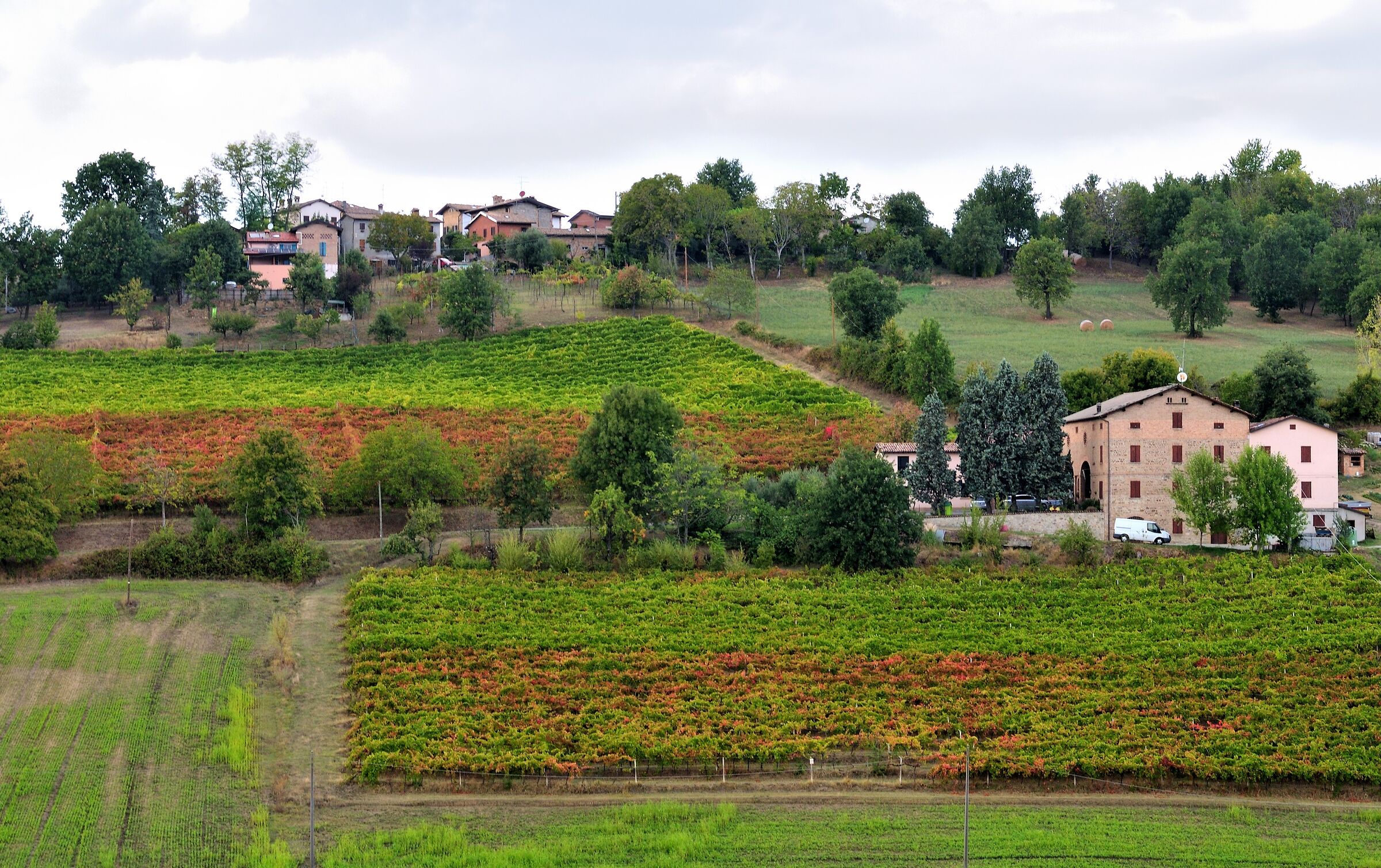 Levizzano Rangone and its vineyards in autumn...