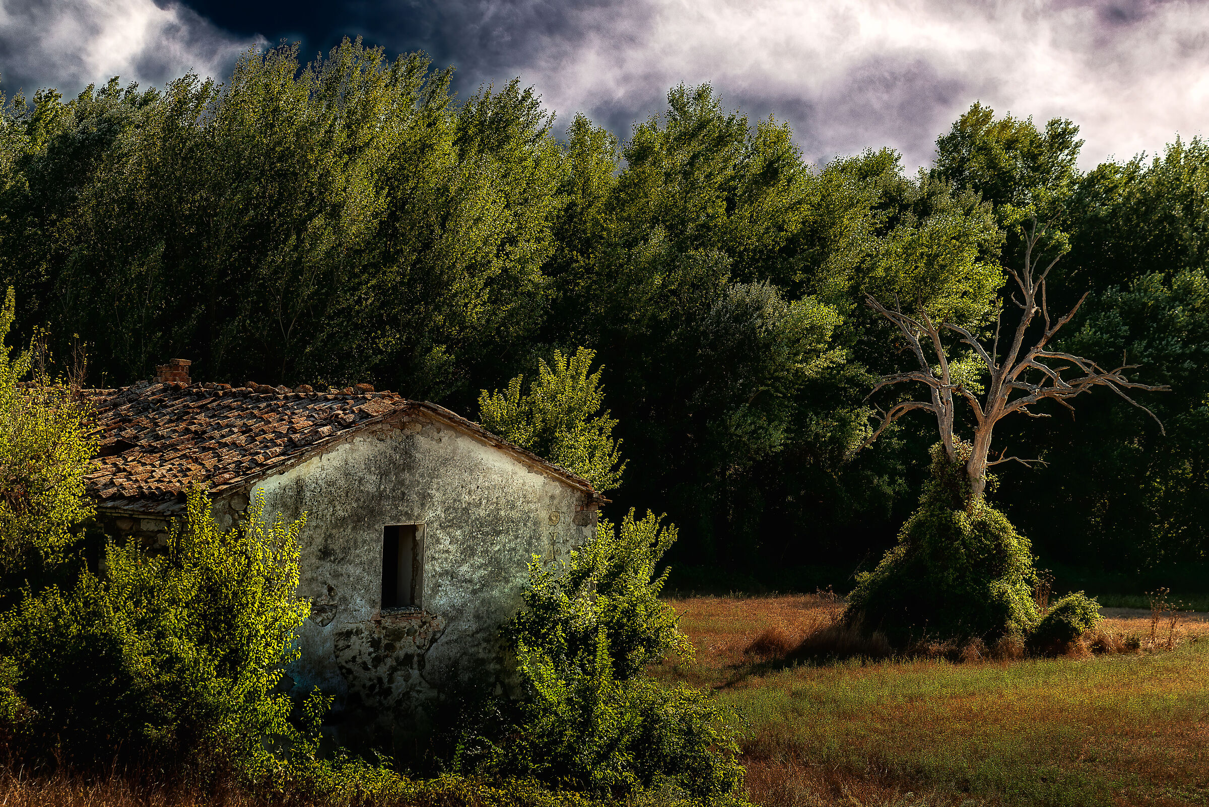 simple landscape abandoned Sienese countryside...