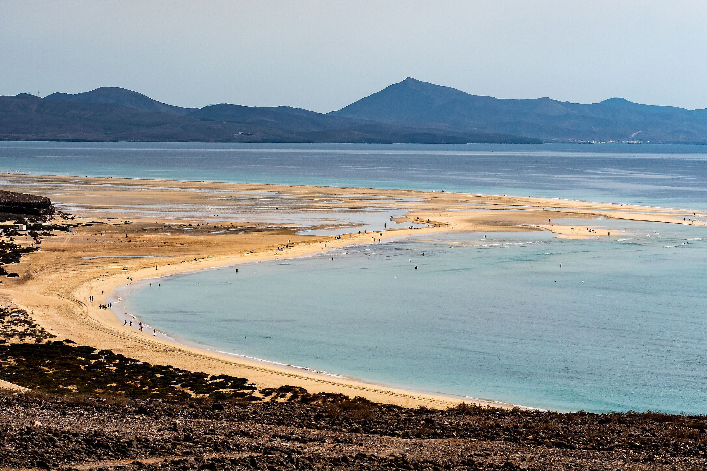 Pàjara Fuerteventura...