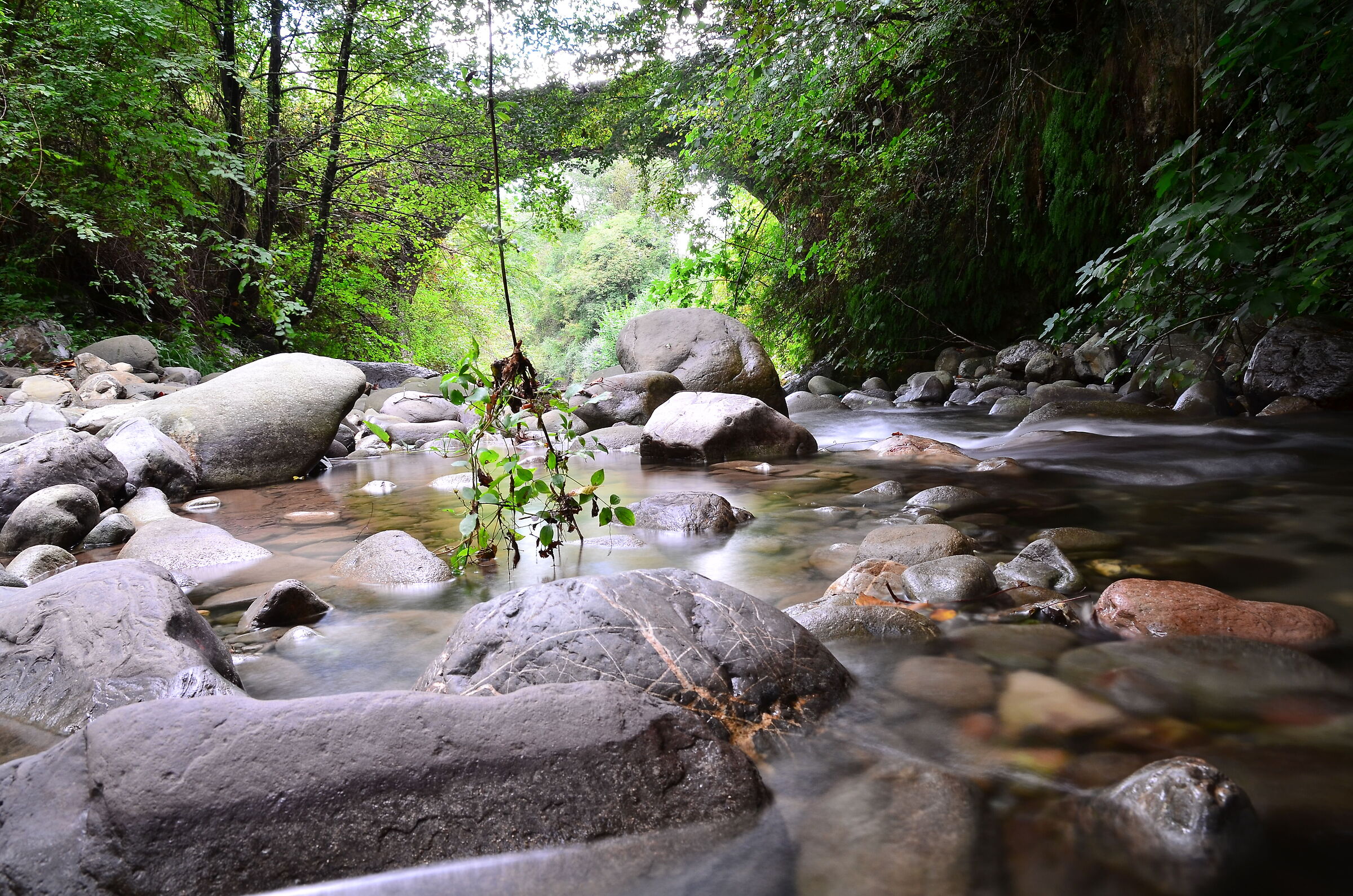 Torrente Taverone...