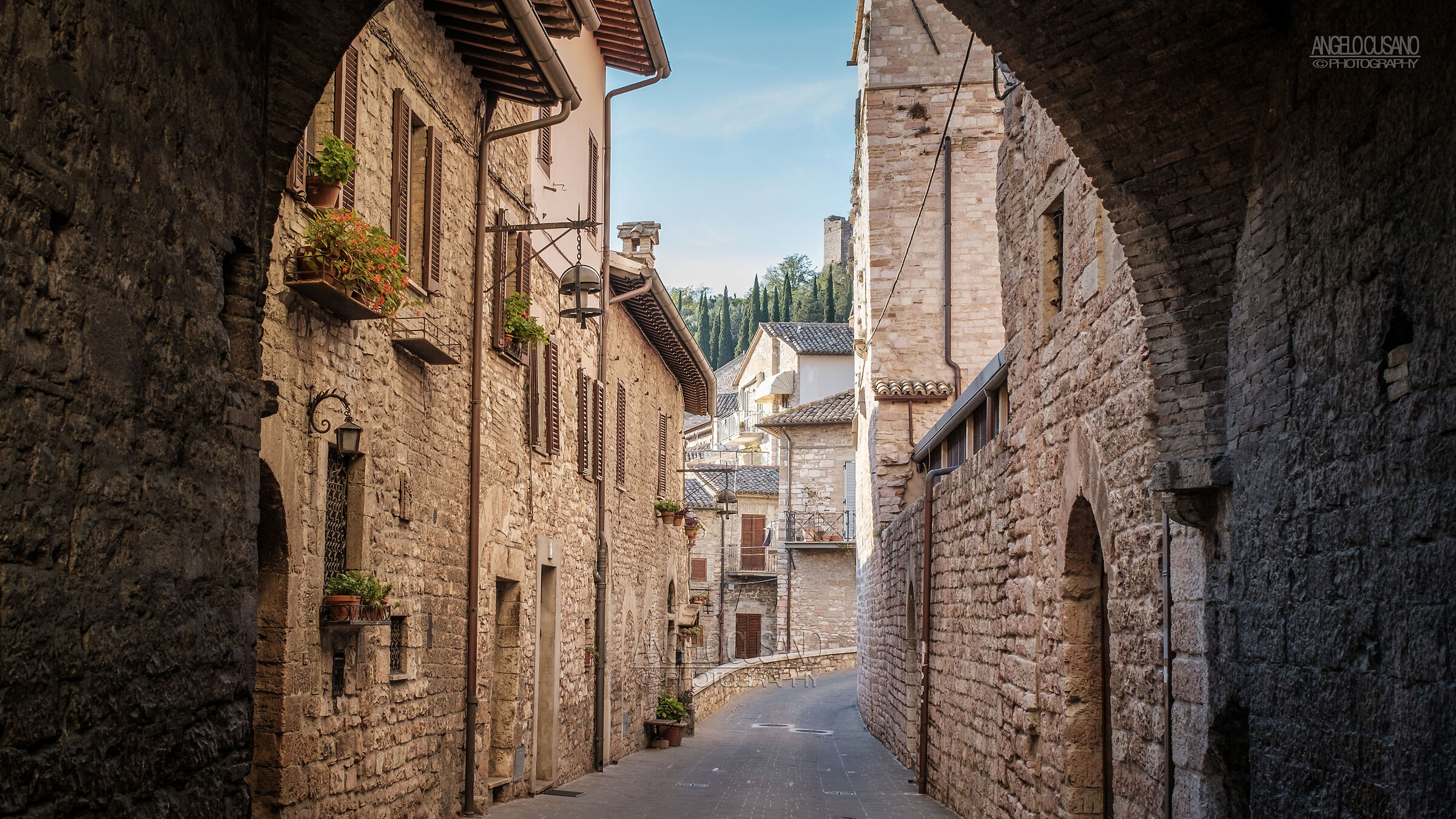 Assisi (2020)...