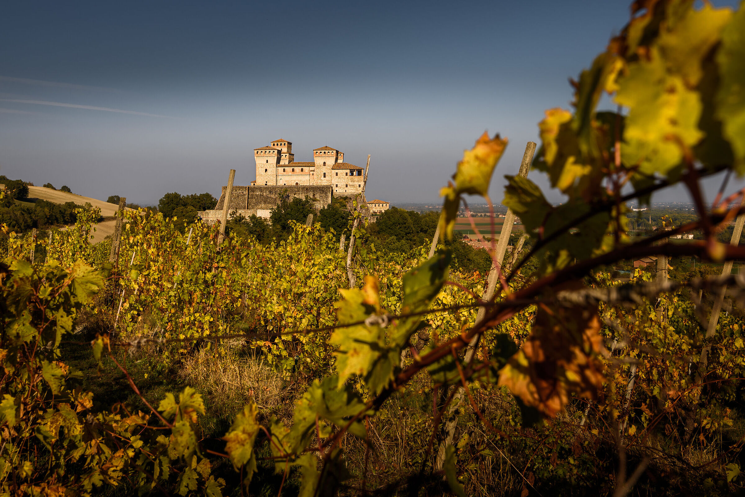 The castle among the vineyards...