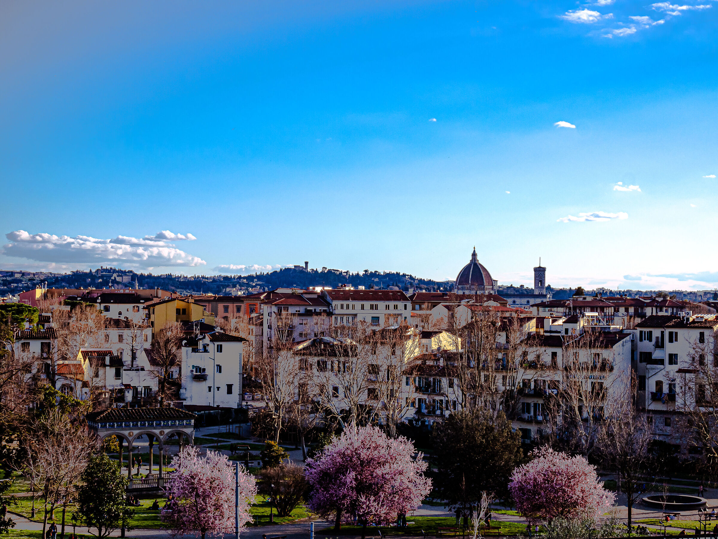 Spring skyline of Florence...