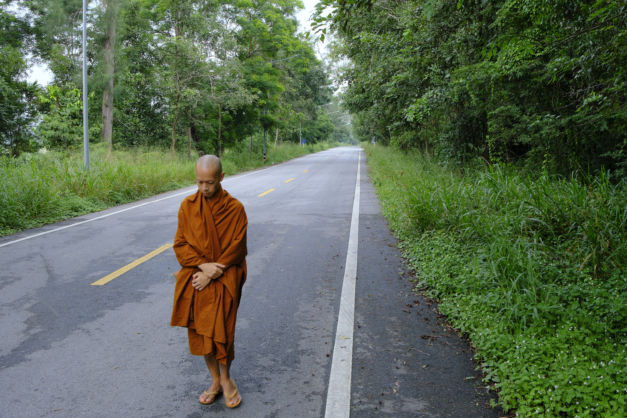 La passeggiata del monaco...