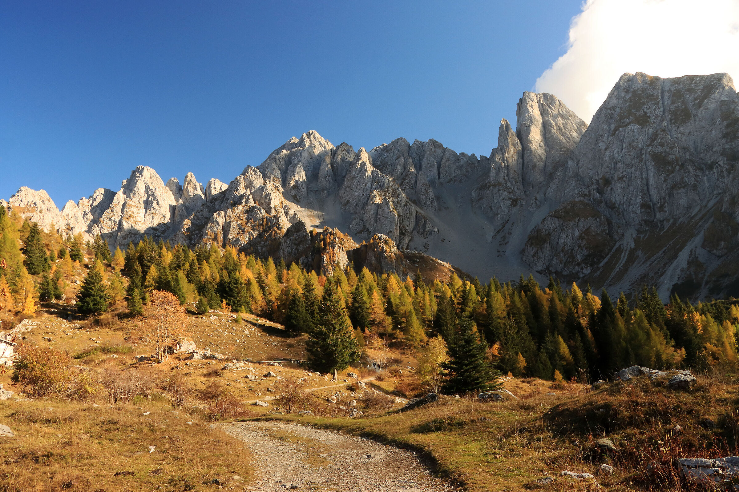 la tavolozza dei Campelli...