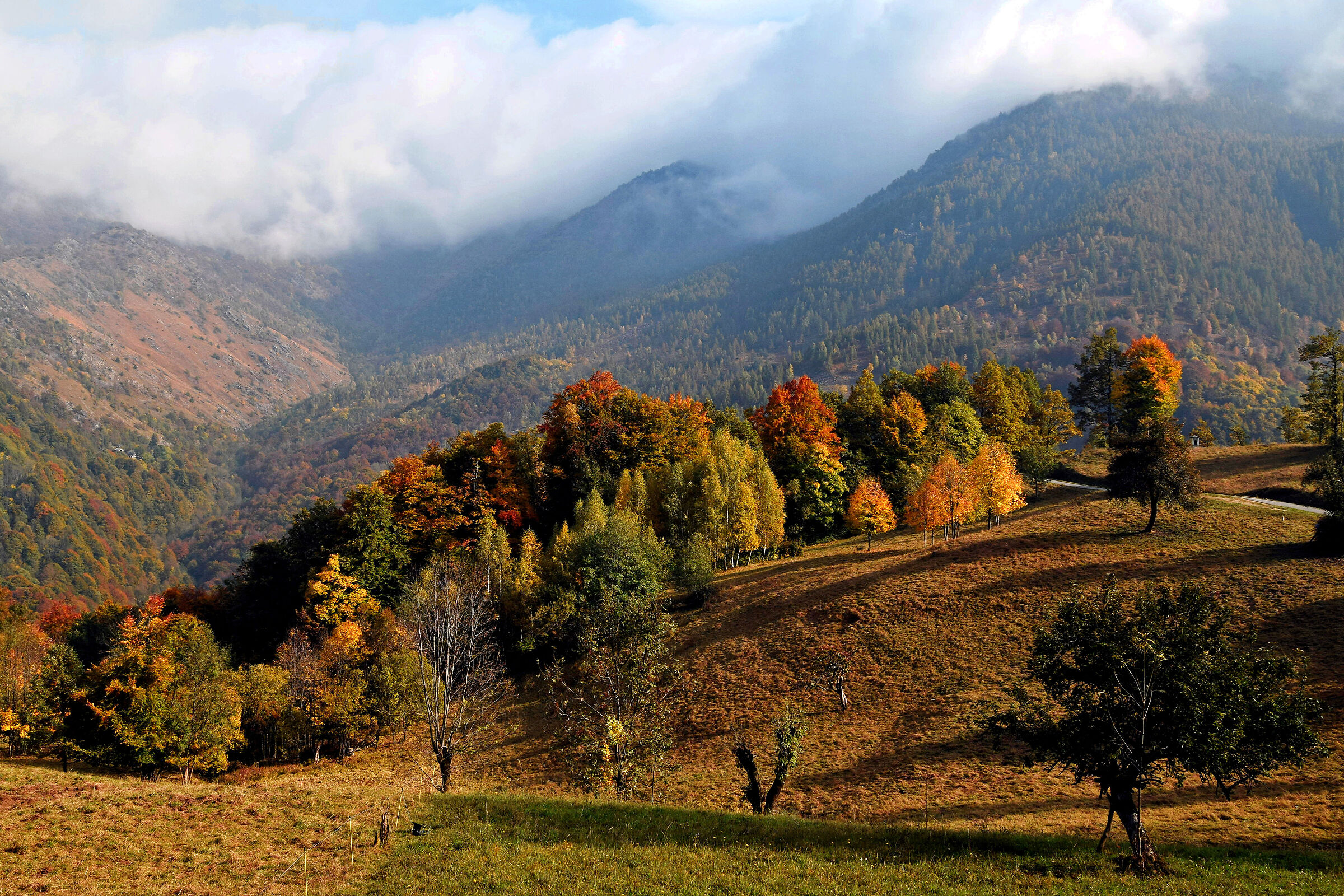 autumn in the valleys of lanzo...