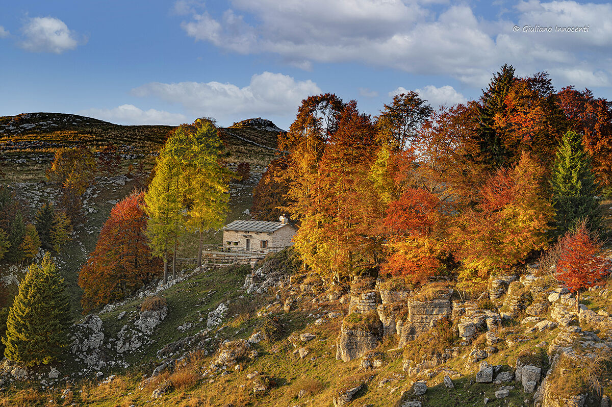 l'autunno a Malga Broleto-Lessinia...