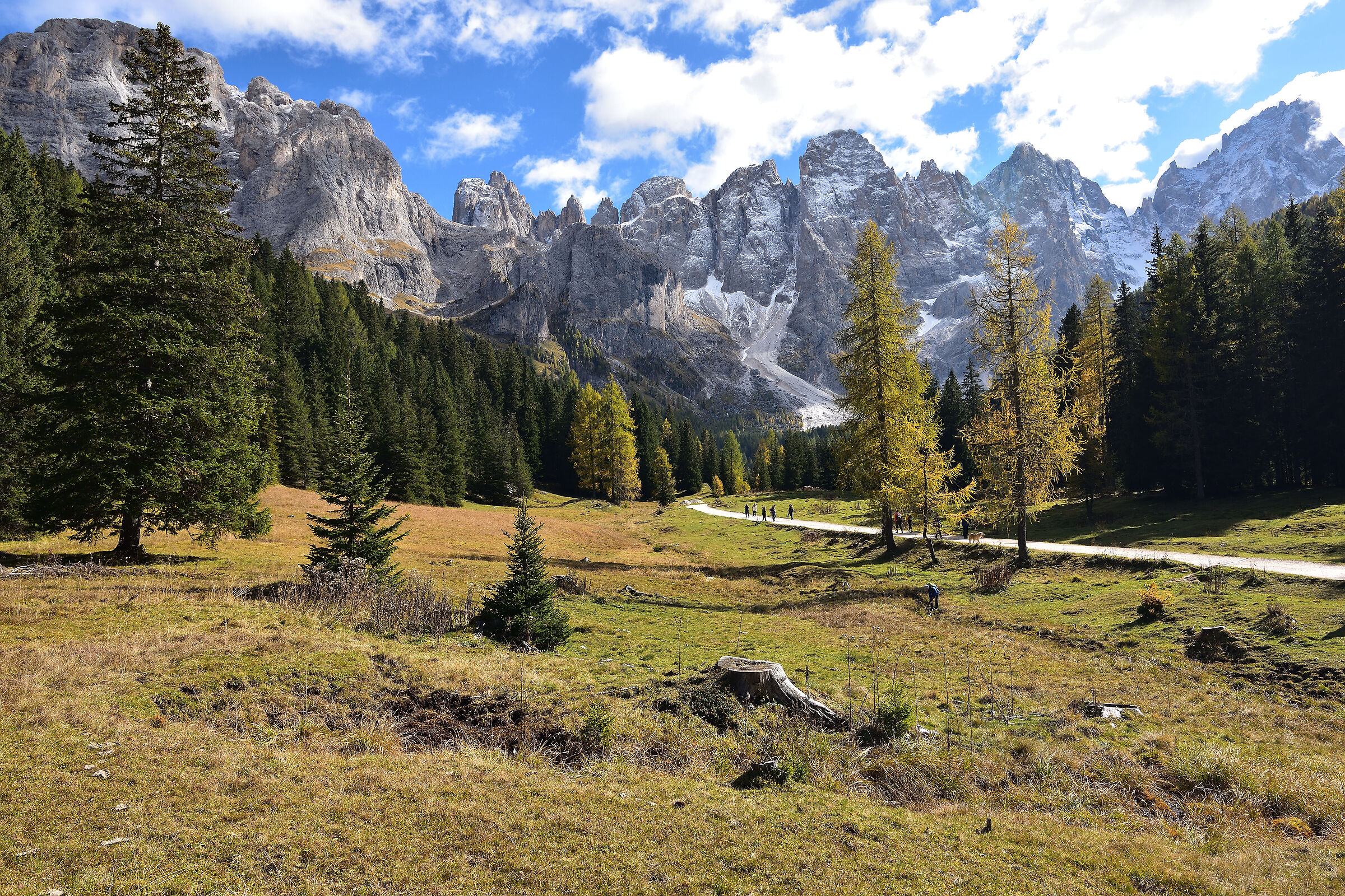 Val Venegia and pale: early autumn...