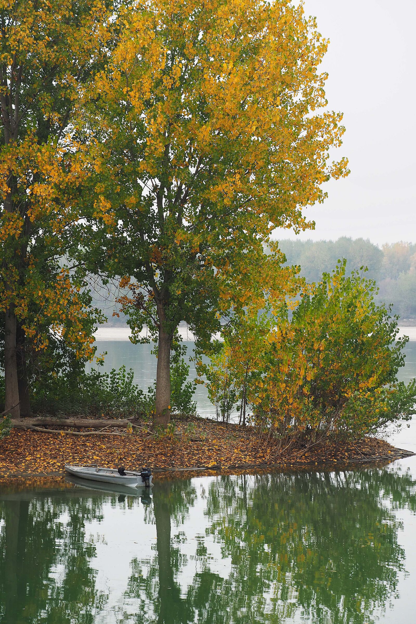 Autumn on the Po River...