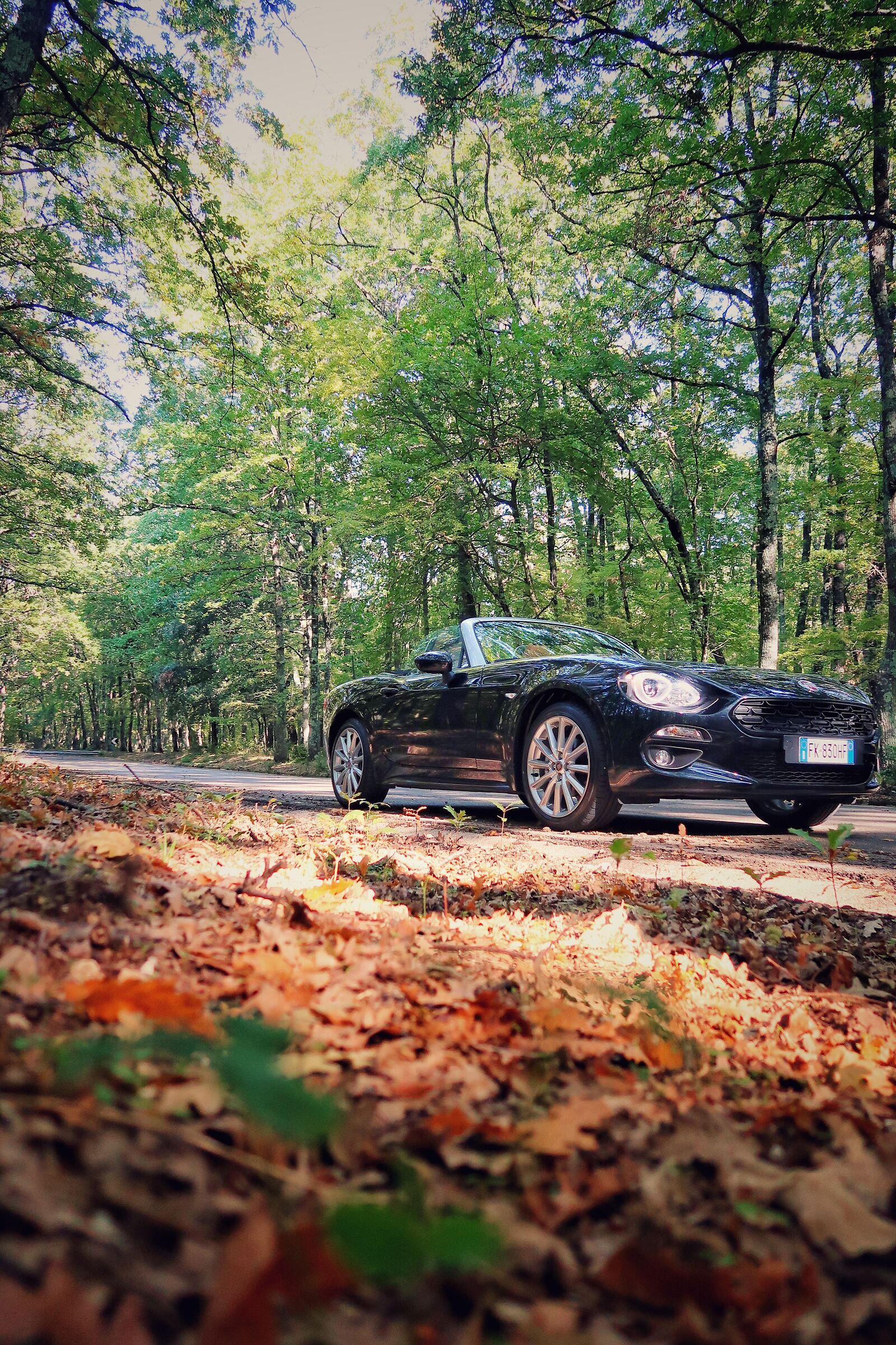 Fiat 124 Spider and autumn!!!...