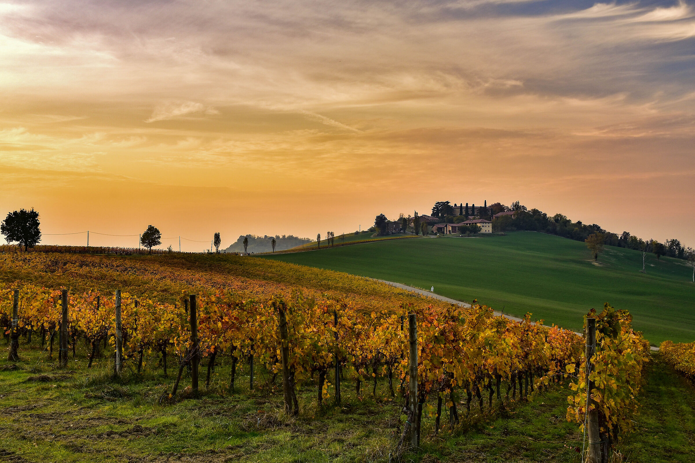 The sun sets on the vineyards -Oliva Gessi -Oltreposhire...