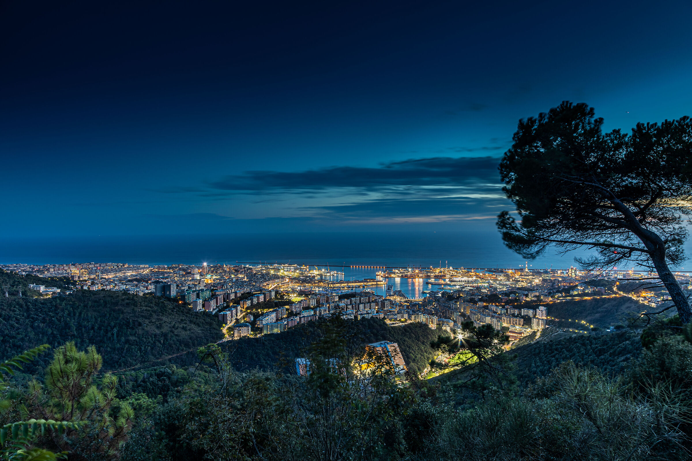 Blue hour from the Parco delle Mura - Genoa...