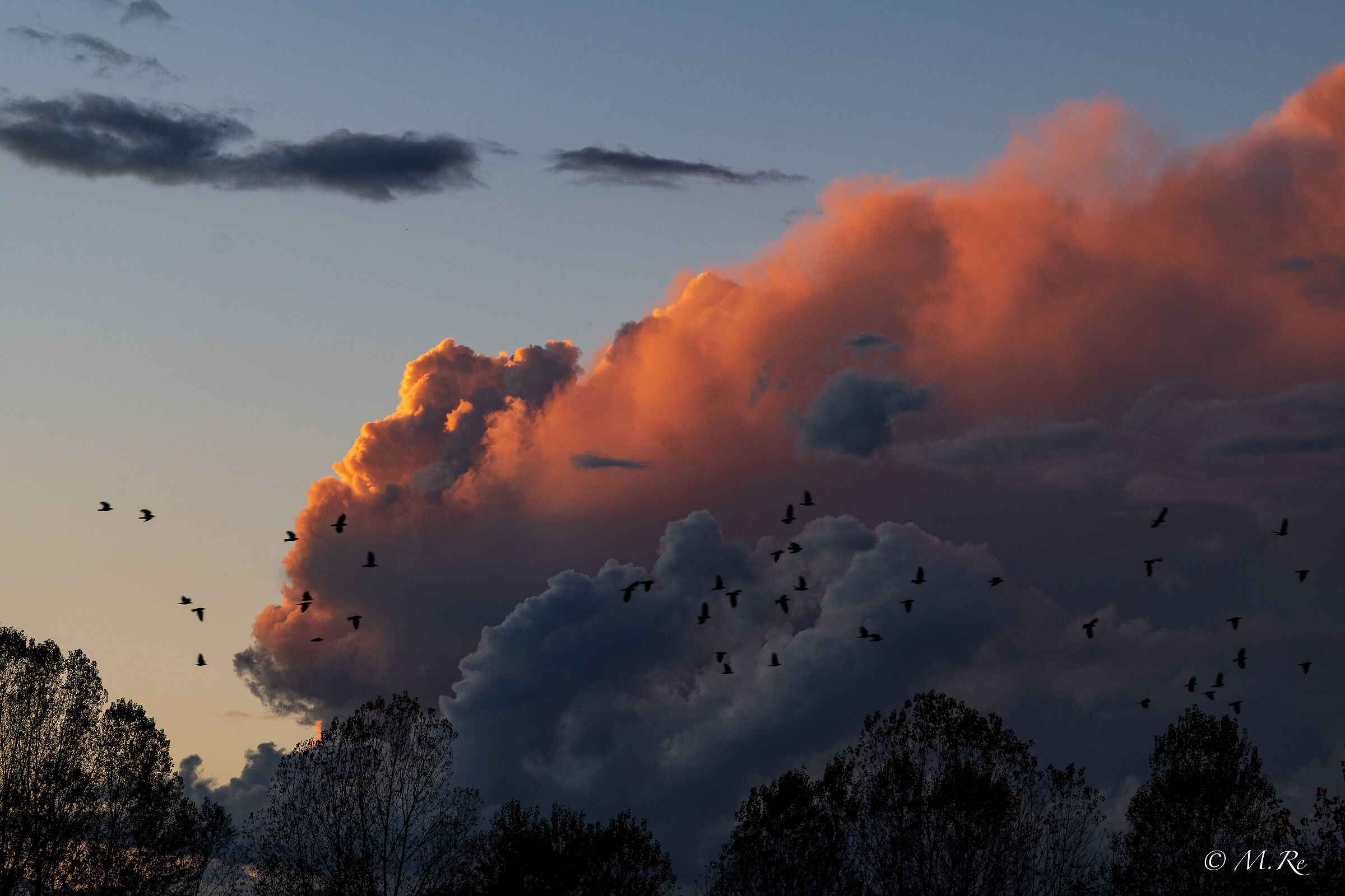 Birds and clouds...