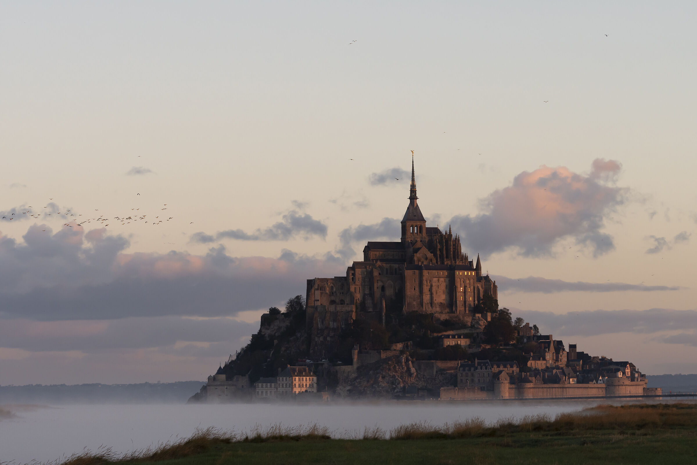 Mont Saint-Michel and the Seagulls...
