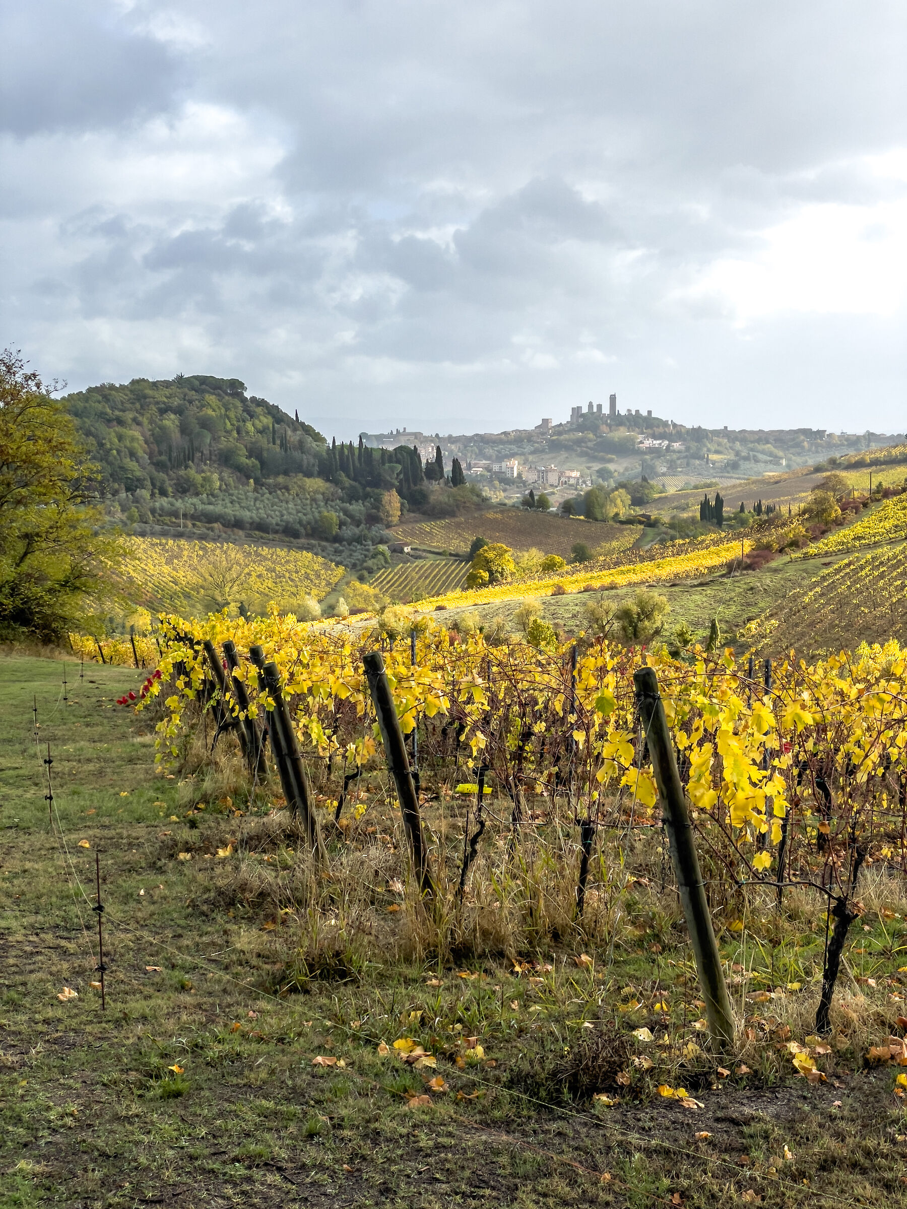 Toscana in Ottobre 2...