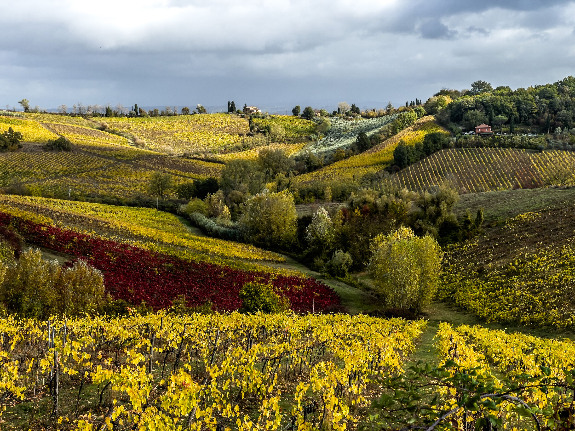 Tuscany in October 3...