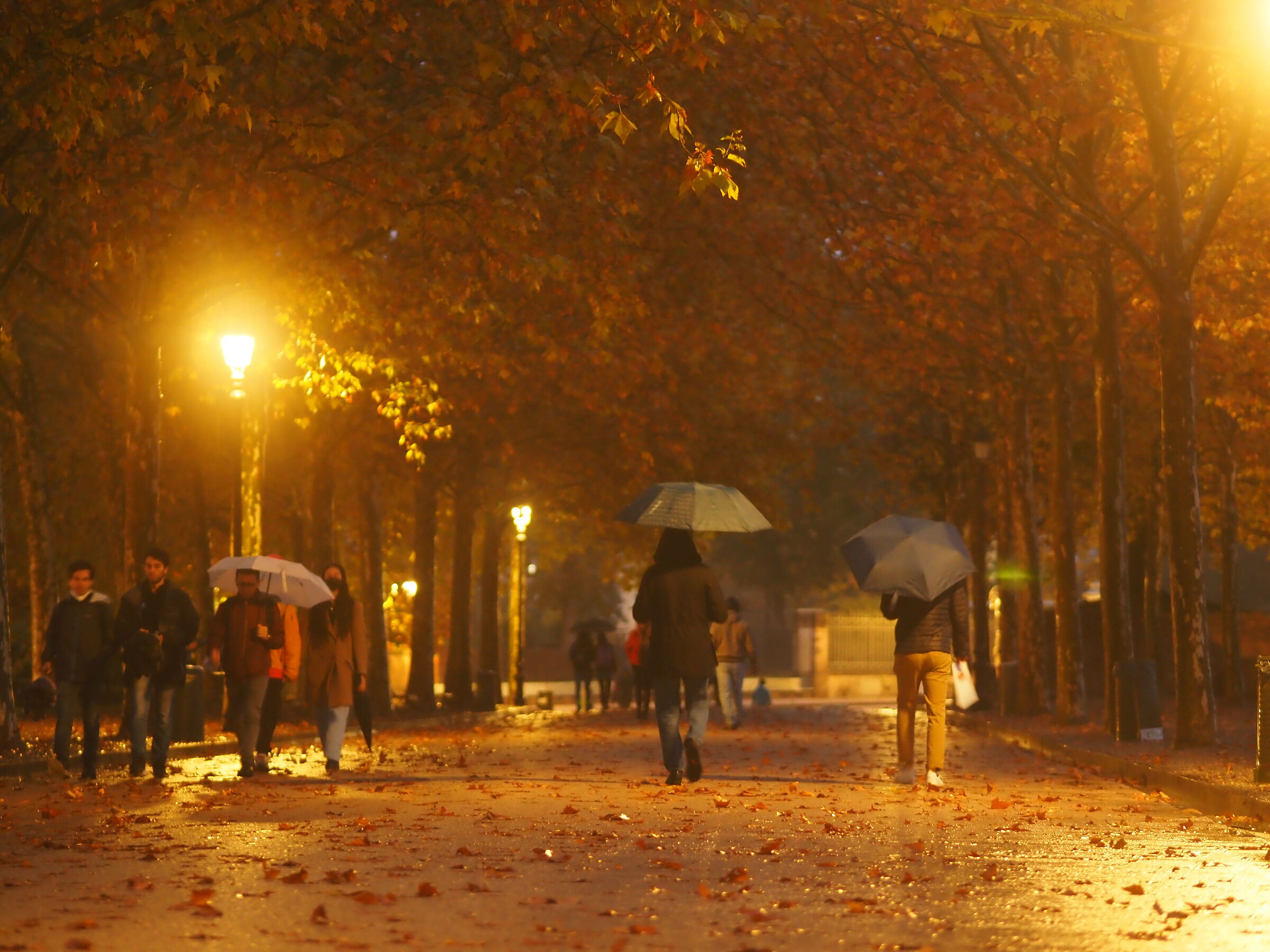 Autumn in Lucca...