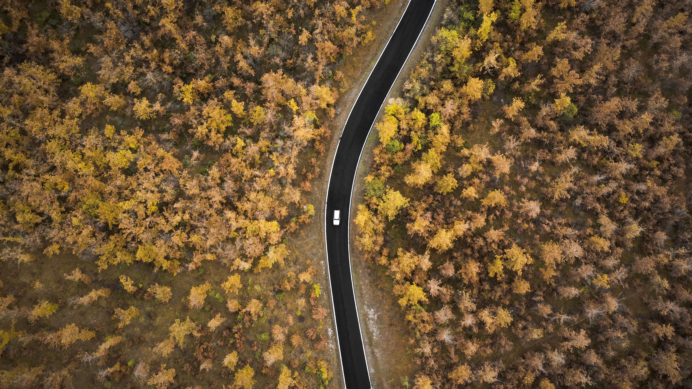 Autumn roads...