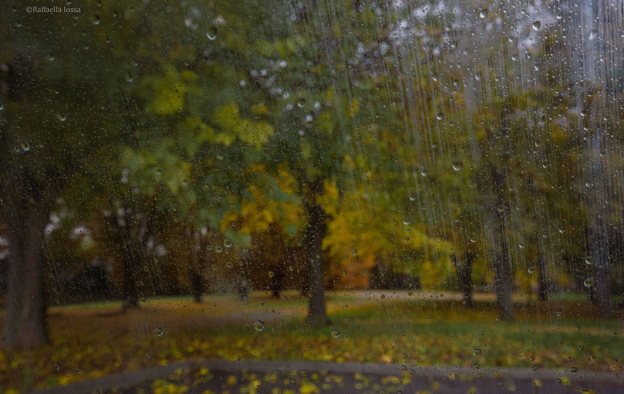 Untitled Photo...