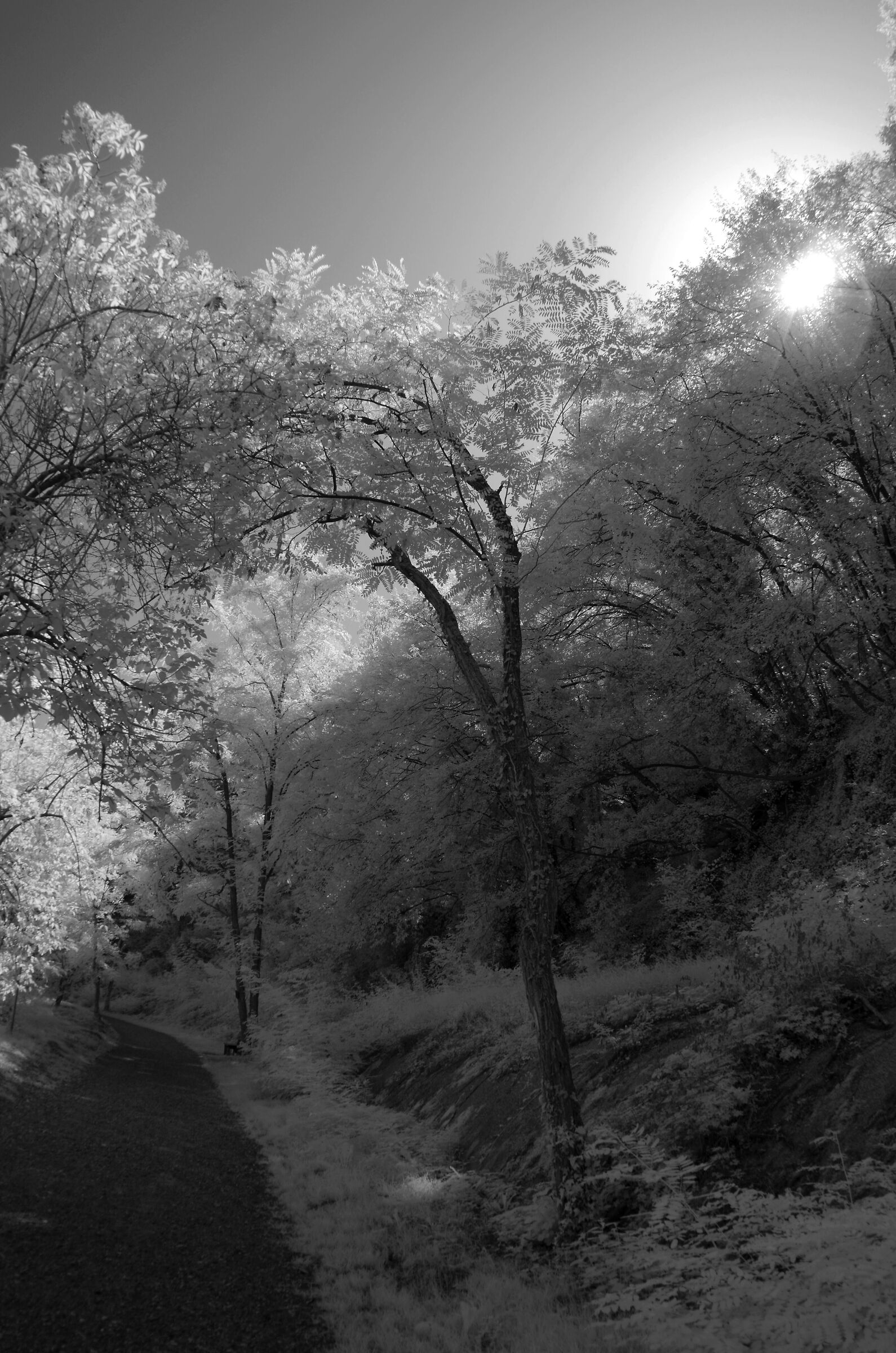 Fiume Chiese infrared VII...