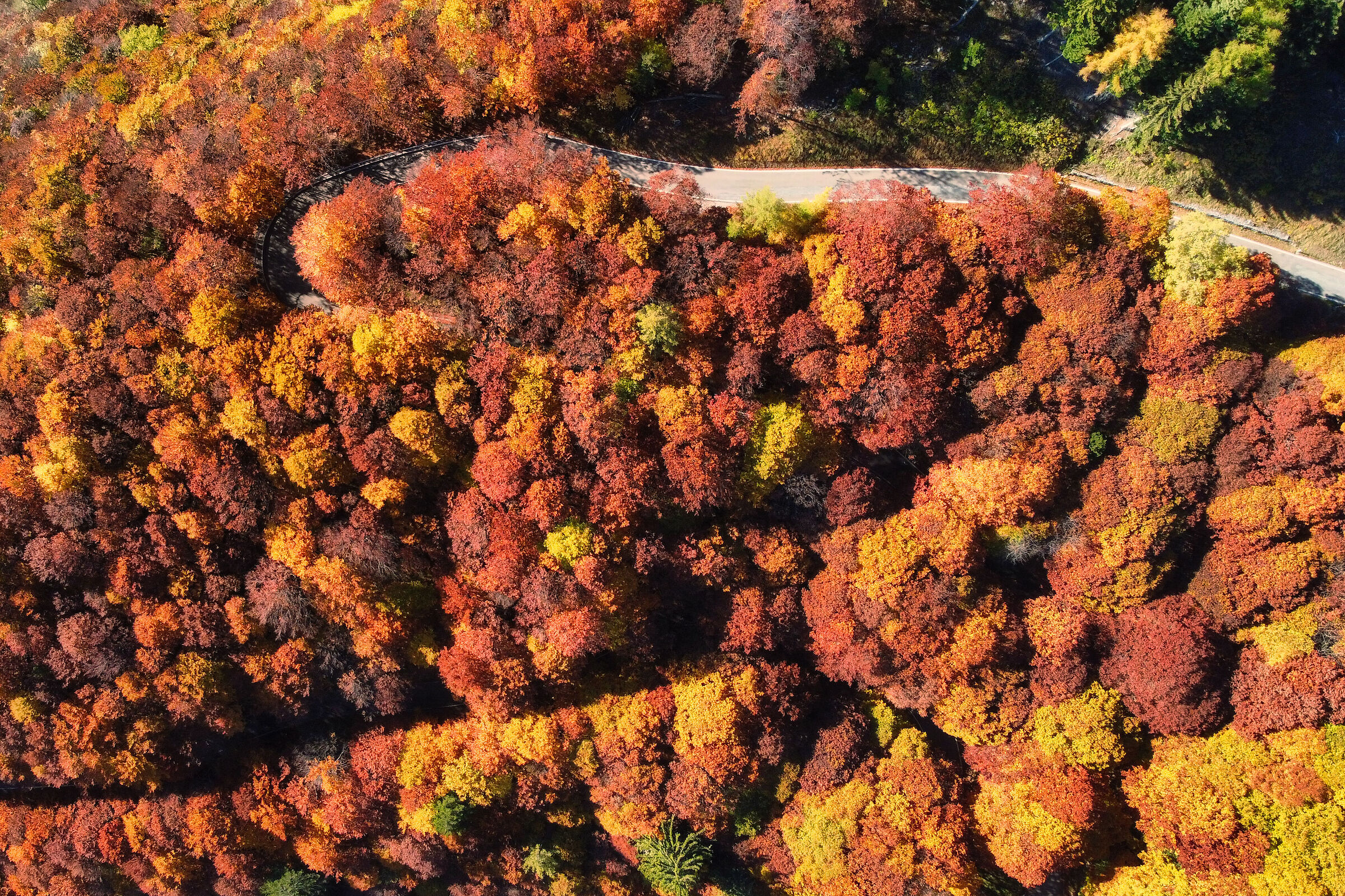 Autunno...