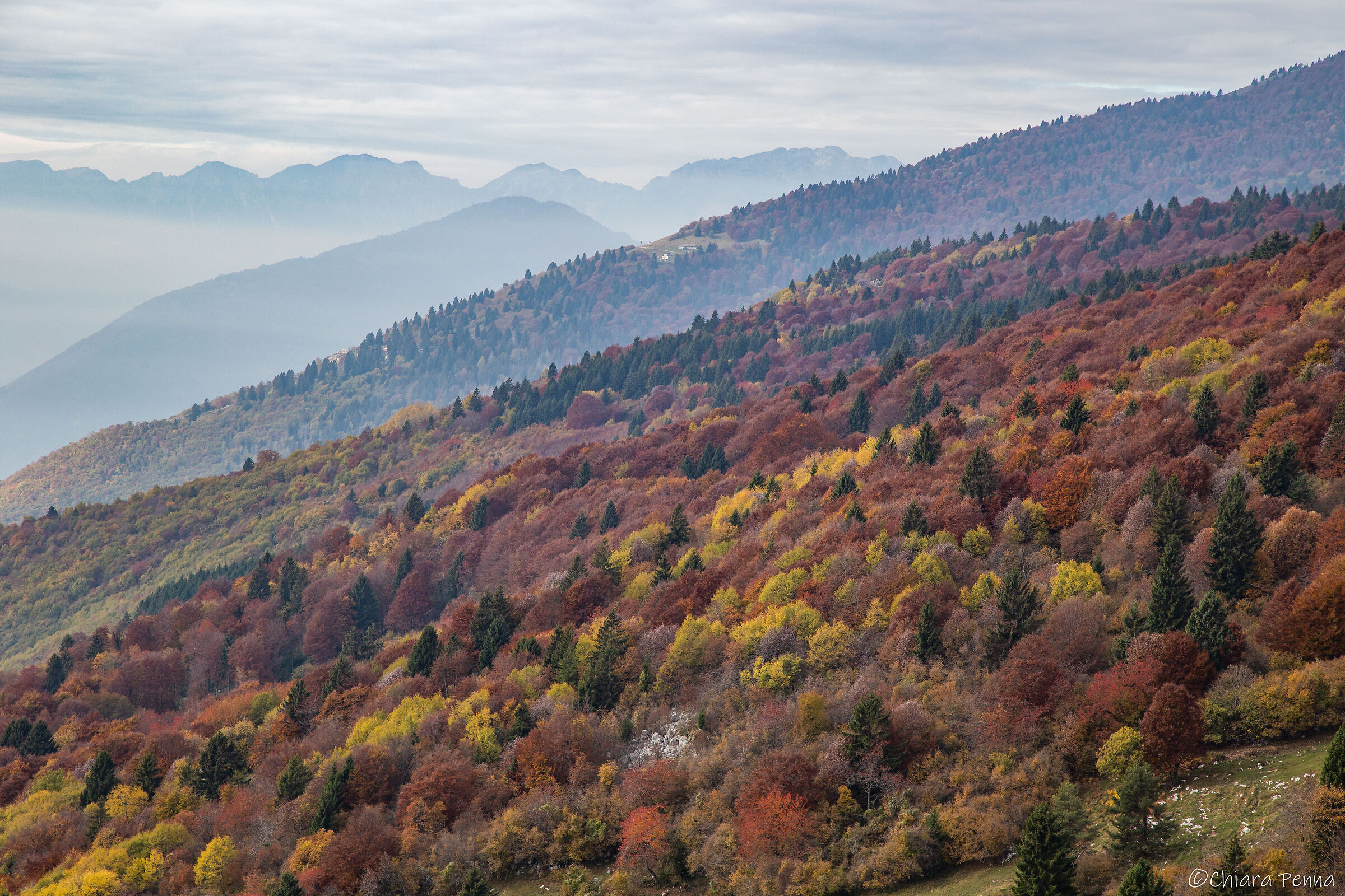 Autumn on Mount Corno...
