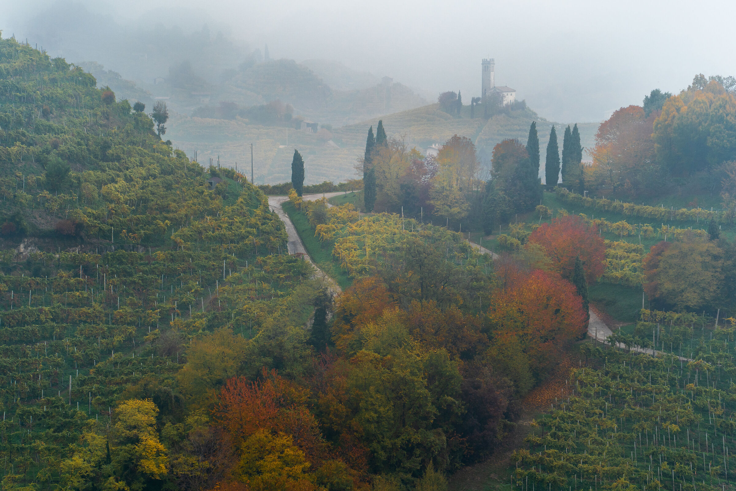 ... autumn fog on the hills ......