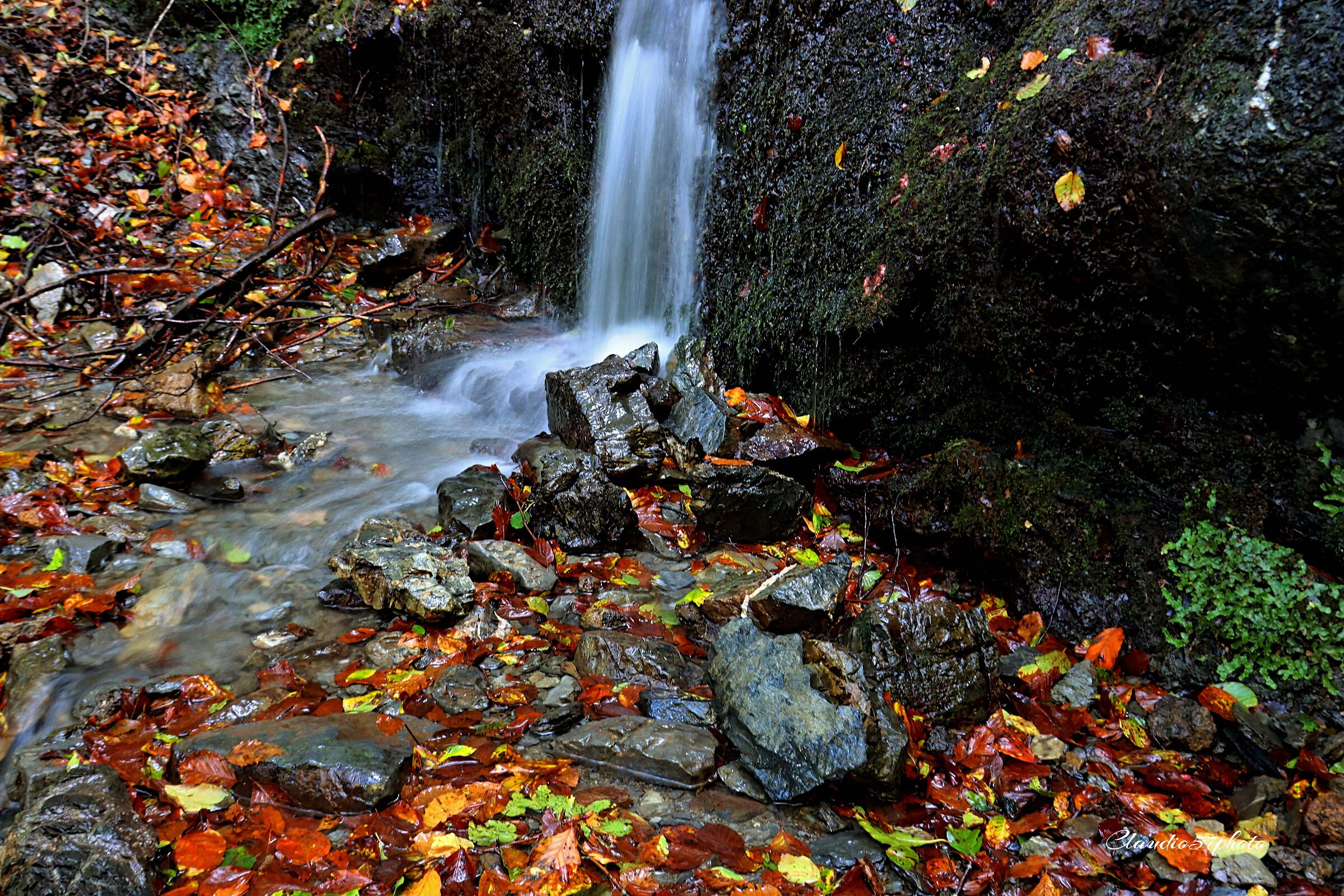 autunno...