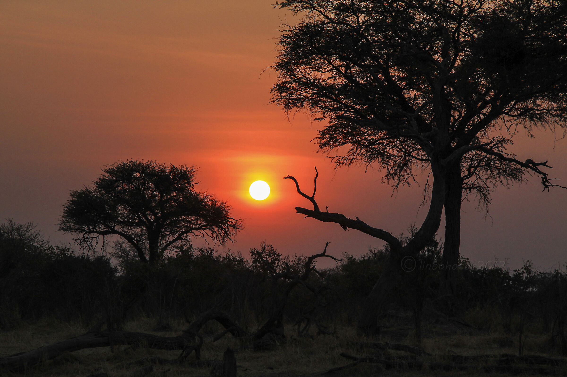 Aspettando il calar del sole nel bush - Botswana...
