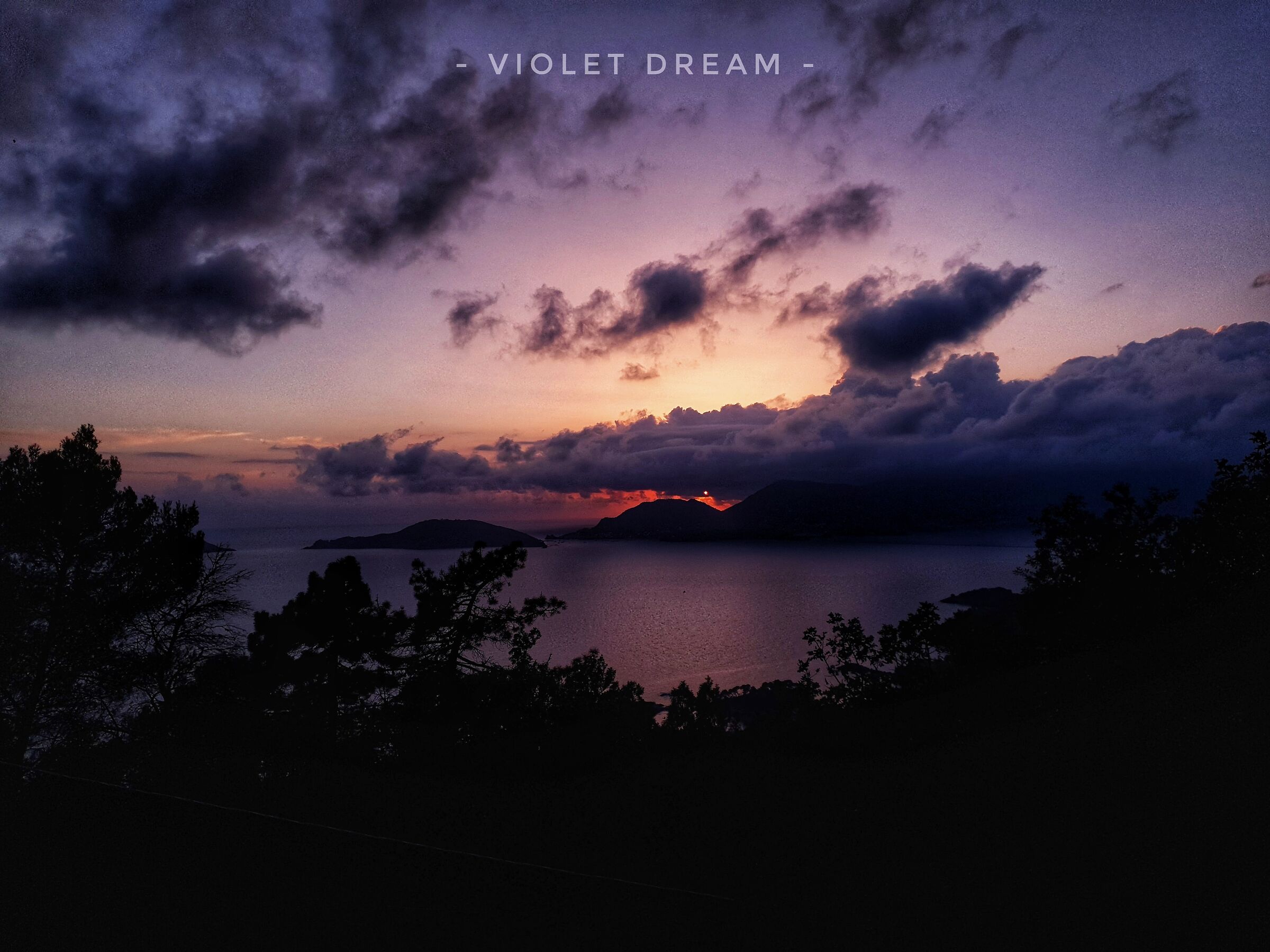 Violet dream...