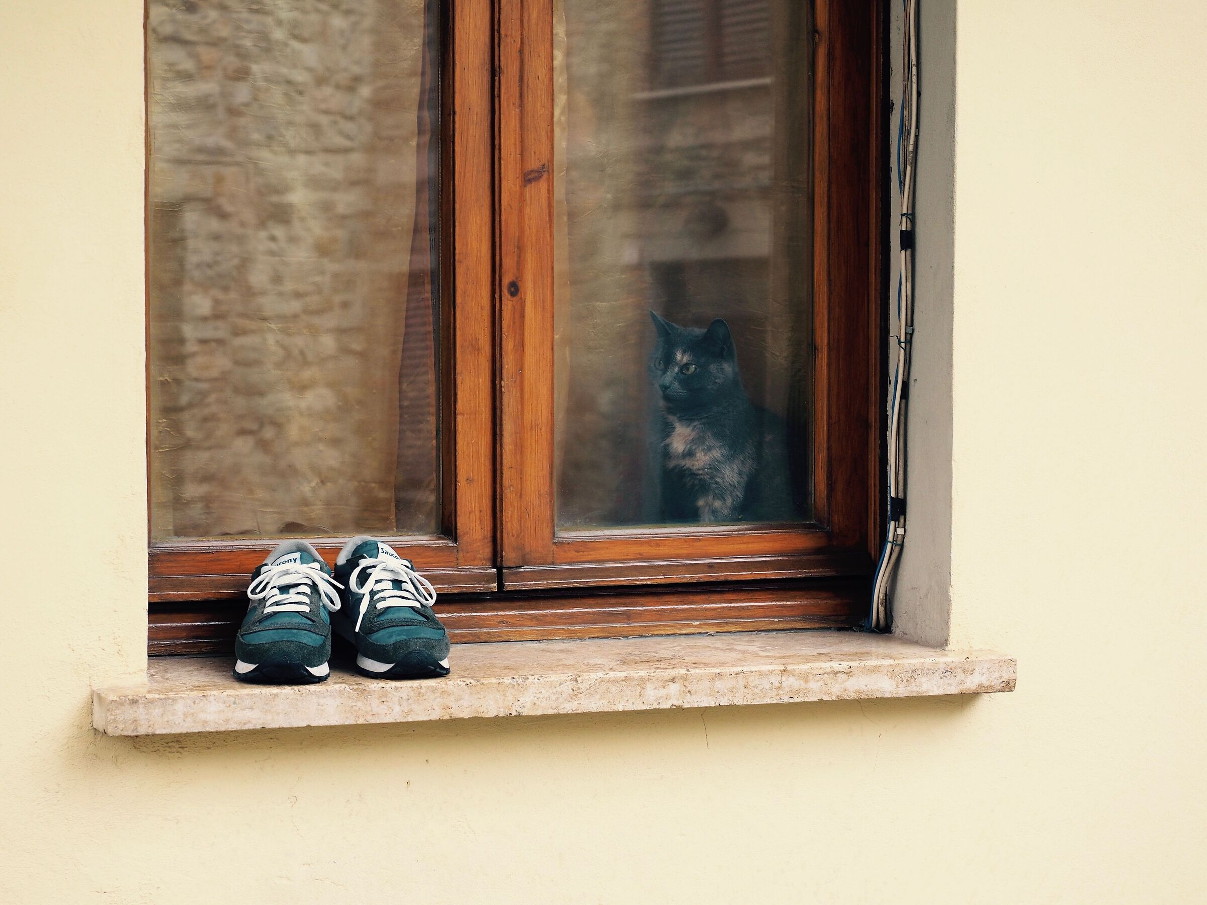 Il gatto con le scarpe da ginnastica...