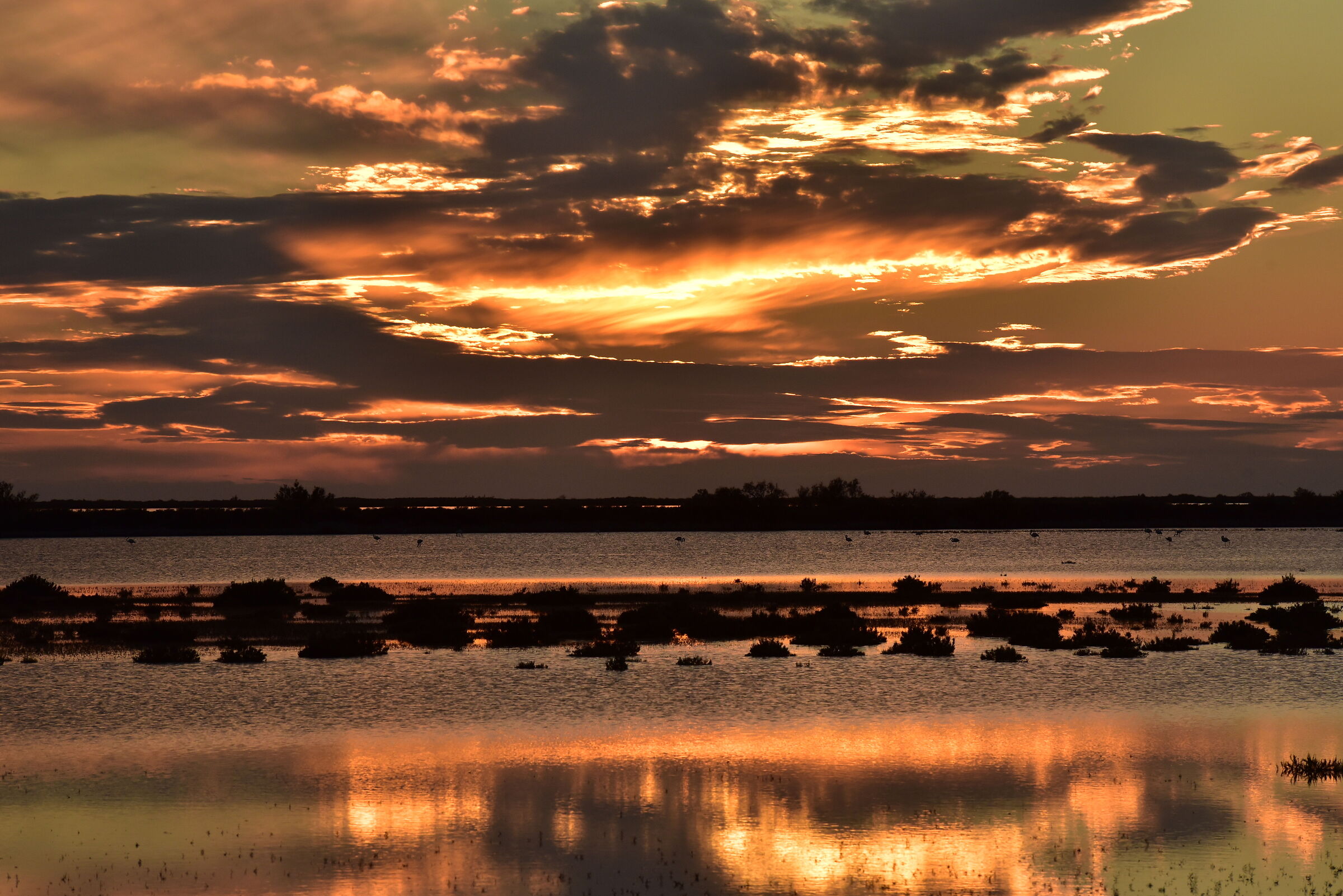 Sunset over the ponds of Camargue...