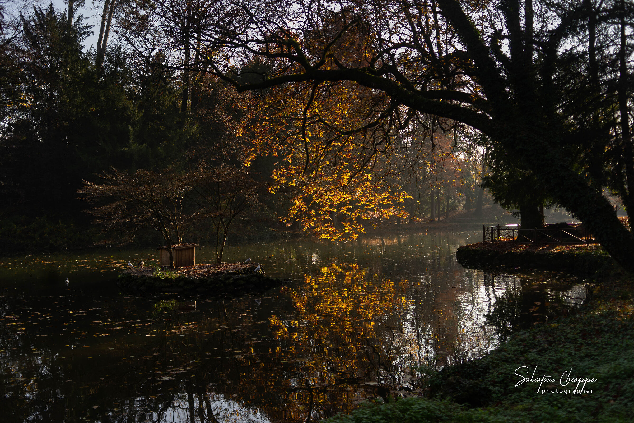 Autumn park of Monza...
