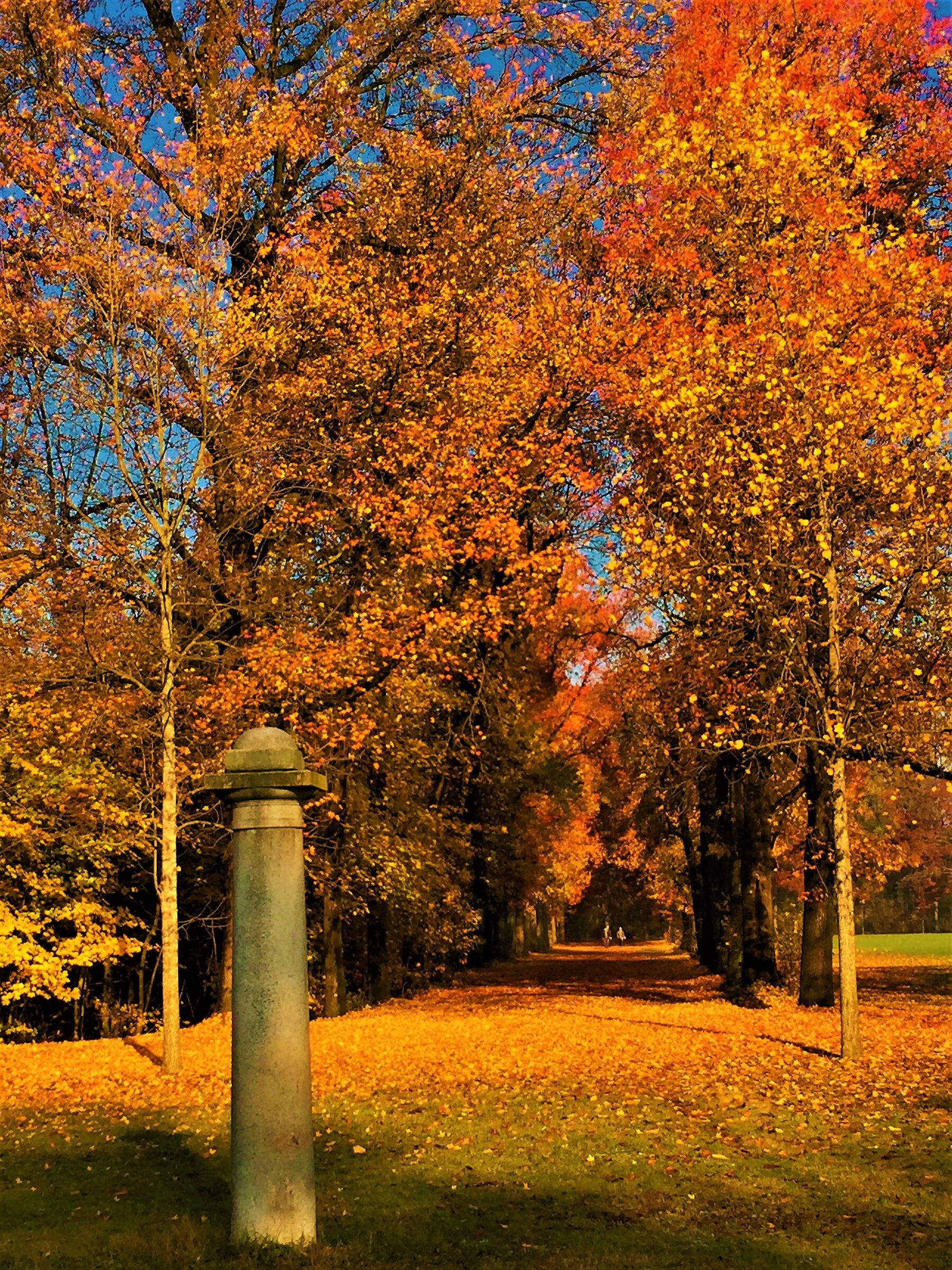 Autumn in the park...