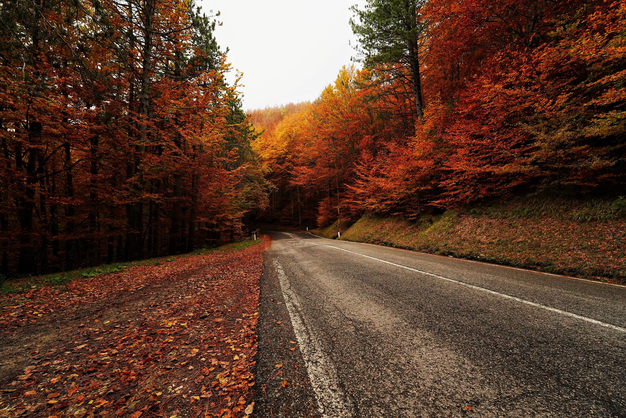Highway to Autumn...