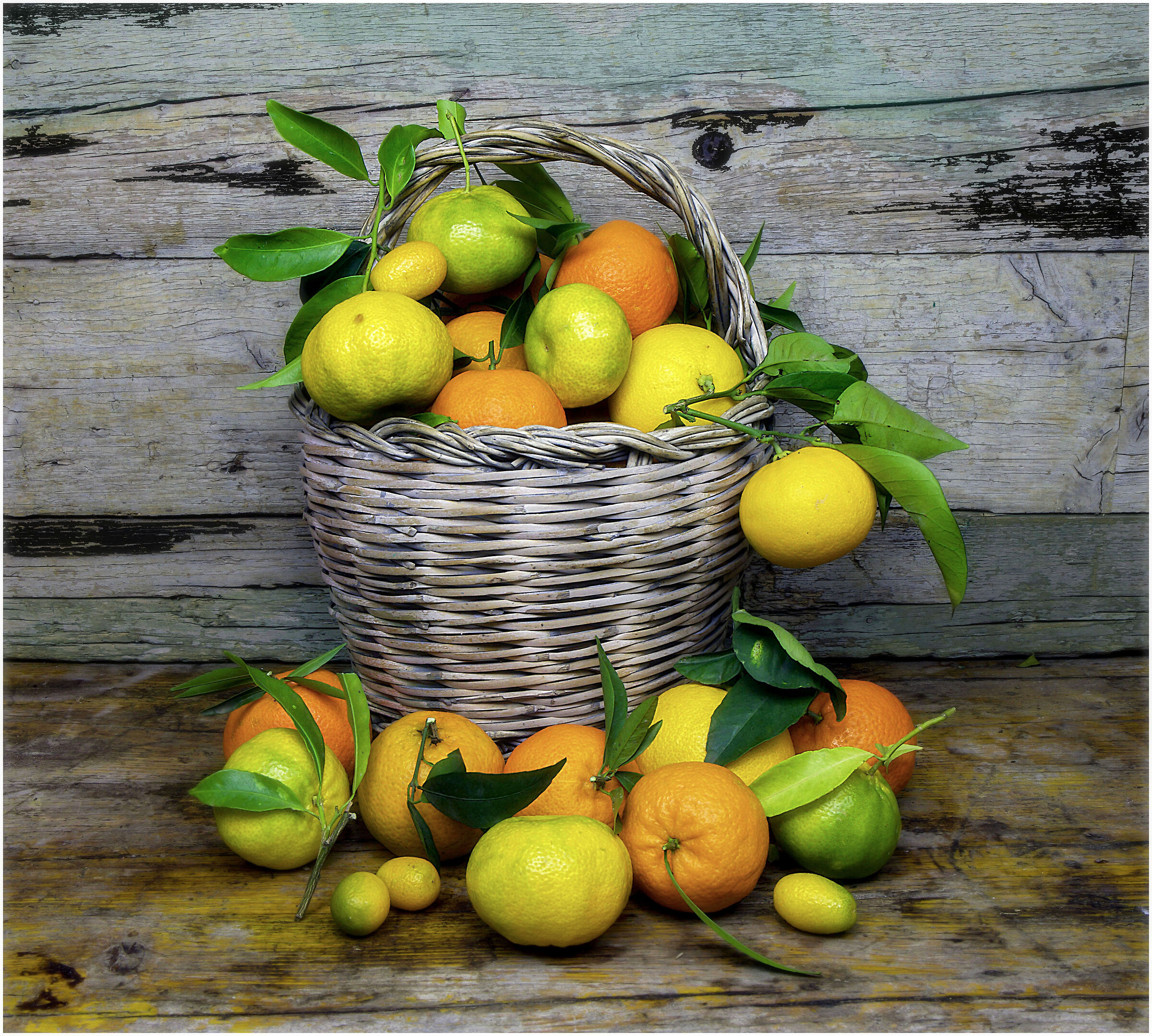 Citrus fruits...