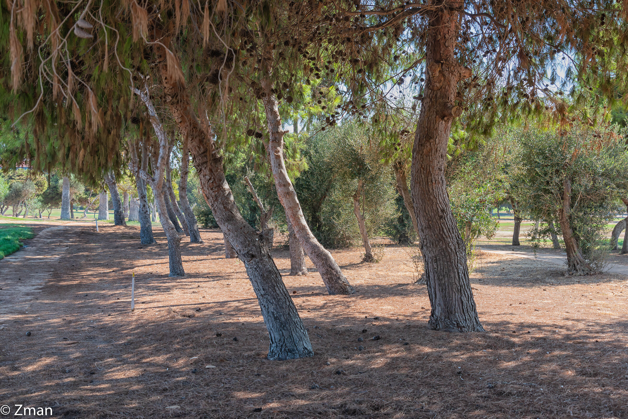 The Lebanese Golf Club...