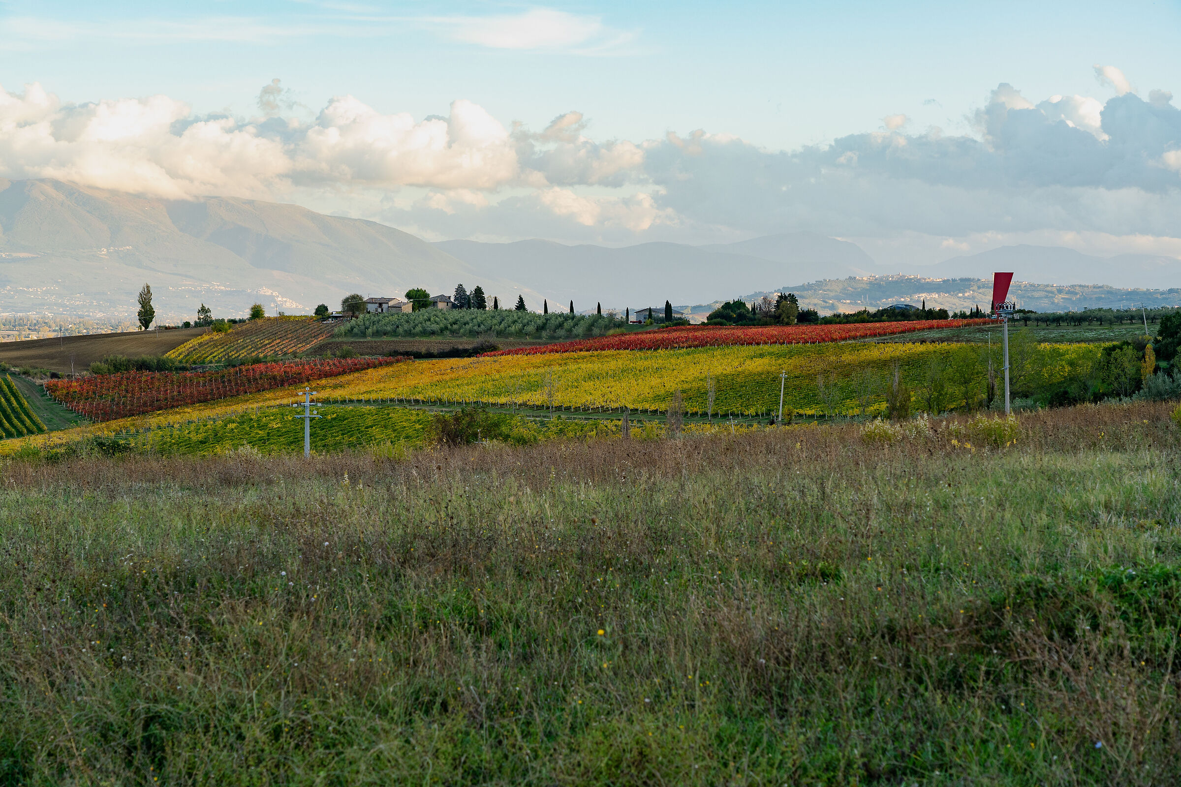 Autumn in the land of Sagrantino...