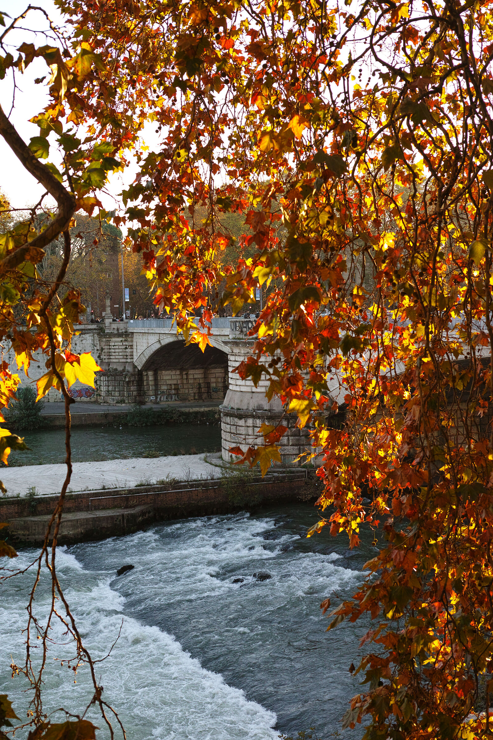 Untitled Photo...
