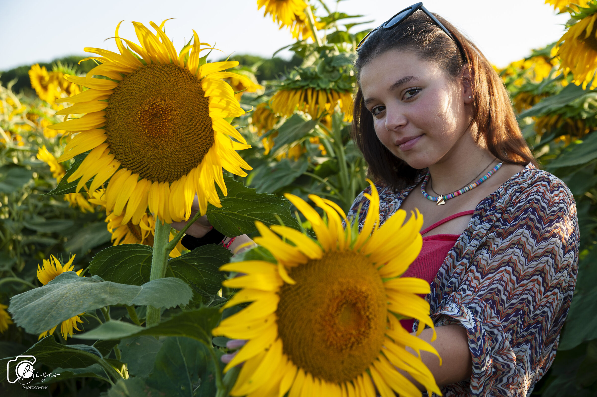 Rebecca among the sunflowers...