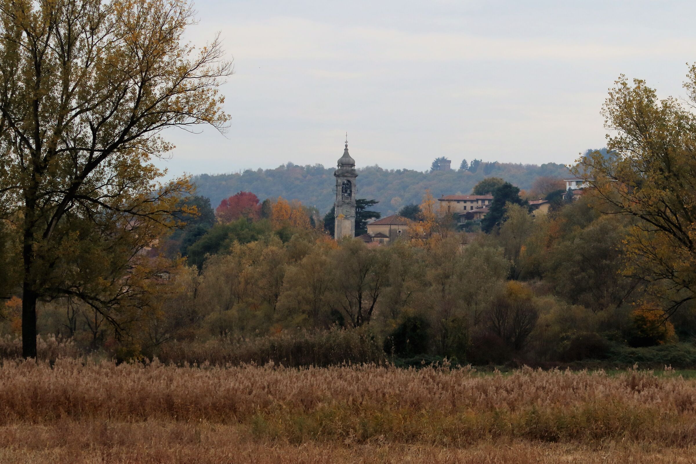 autumn colors...