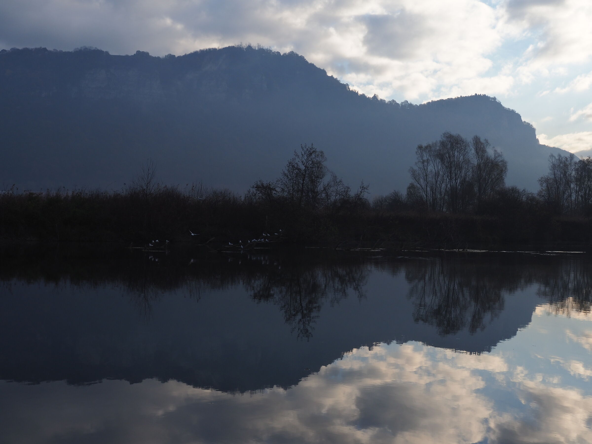 The river: Novembrini reflections...