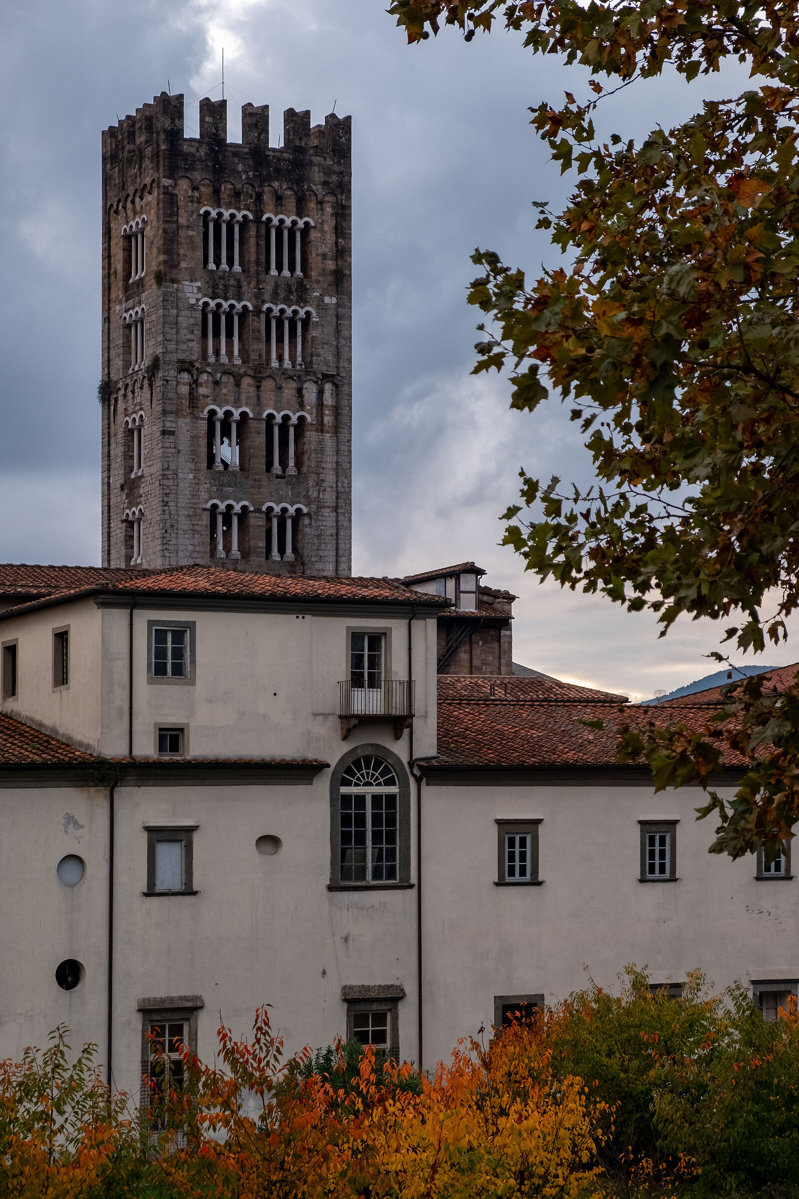 #1 Shots of Lucca...